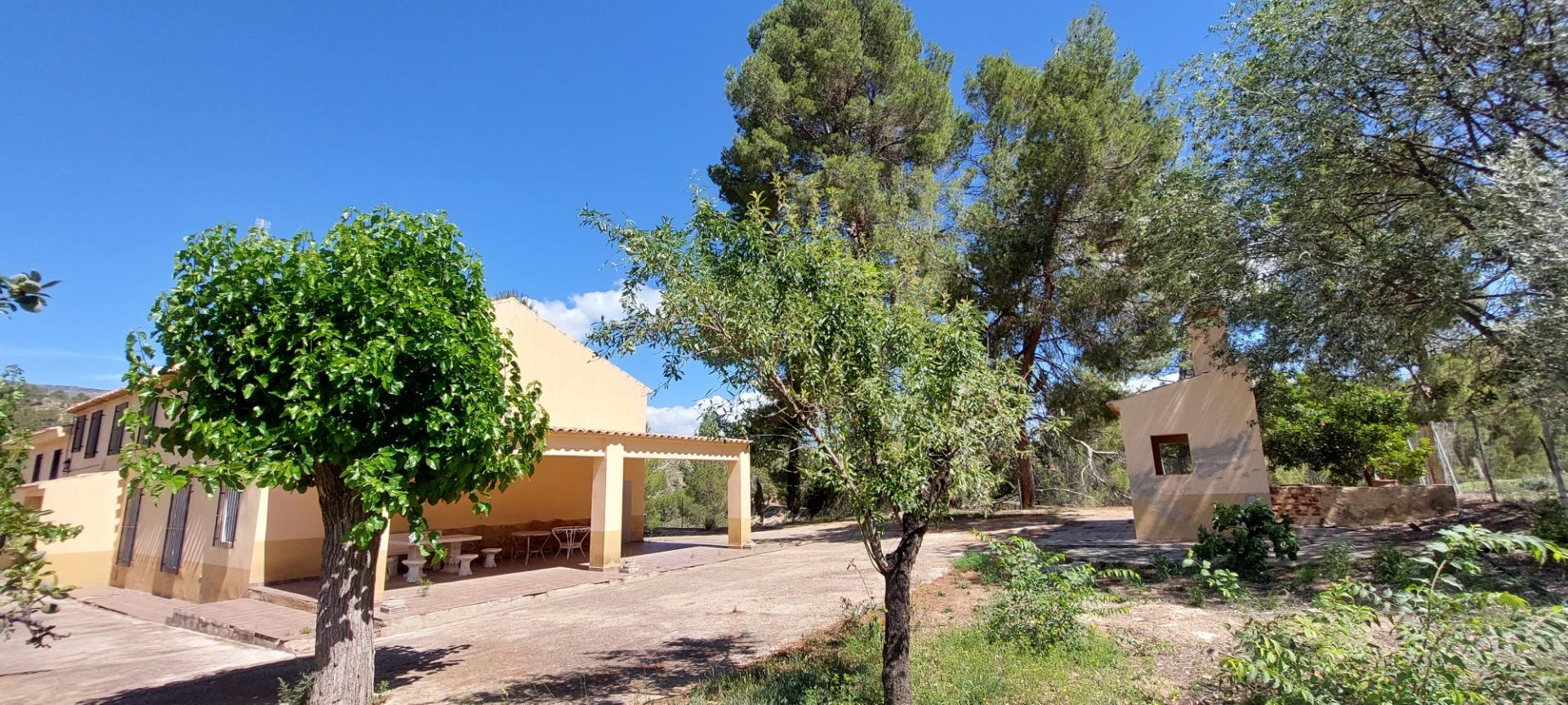 Pisos-Venta-Nerpio-1089579-Foto-10