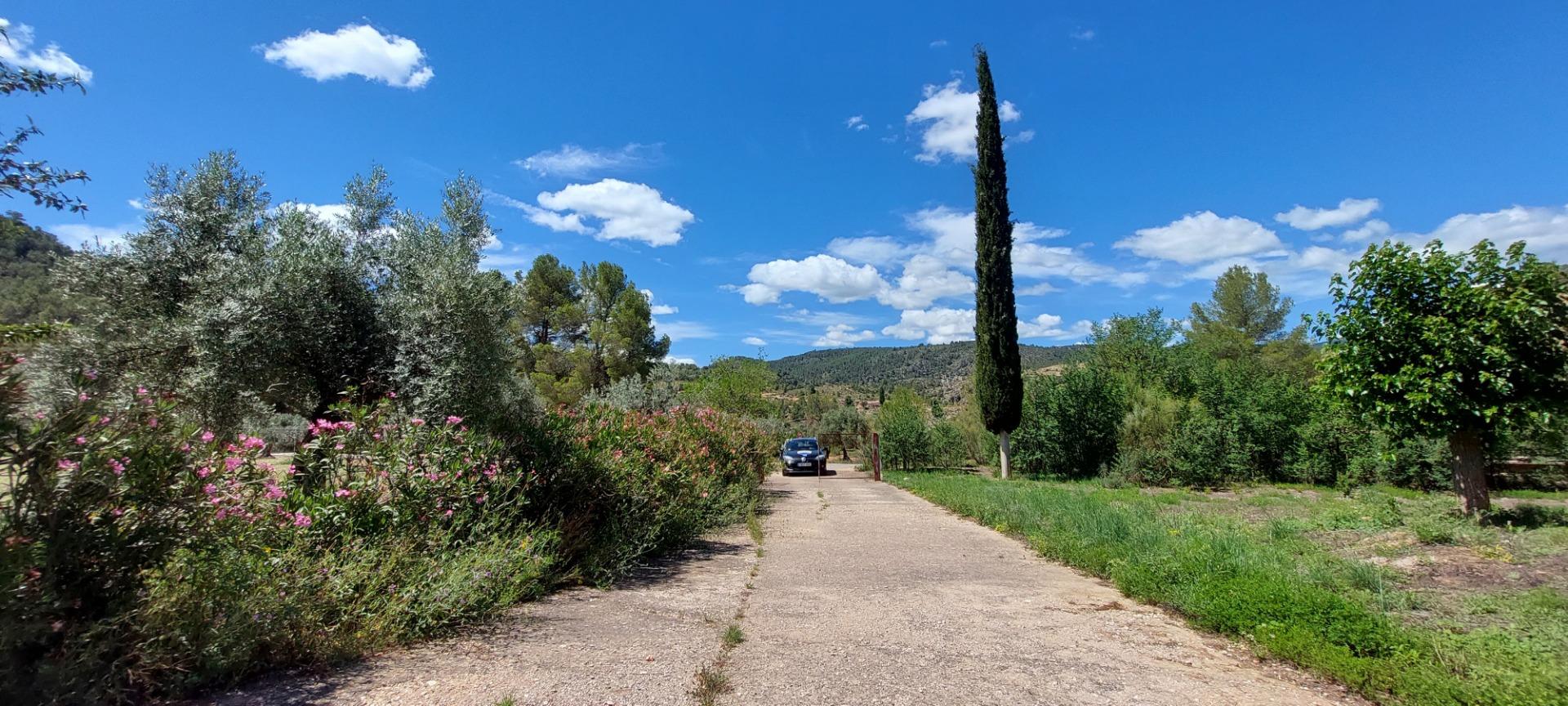 Pisos-Venta-Nerpio-1089579-Foto-71