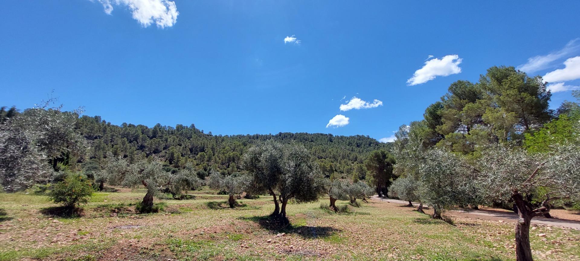 Pisos-Venta-Nerpio-1089579-Foto-72