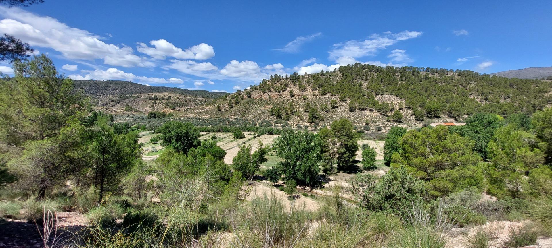 Pisos-Venta-Nerpio-1089579-Foto-74