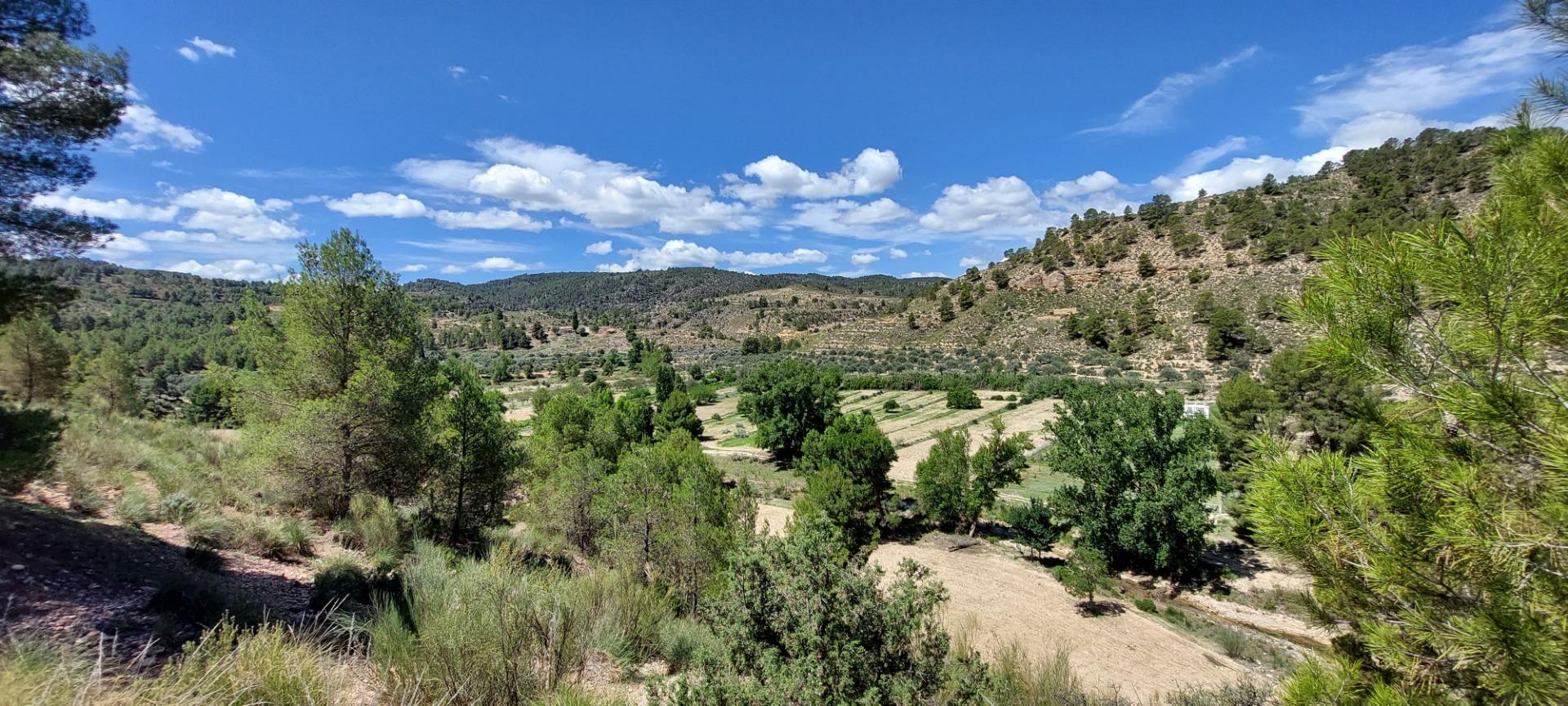 Pisos-Venta-Nerpio-1089579-Foto-75