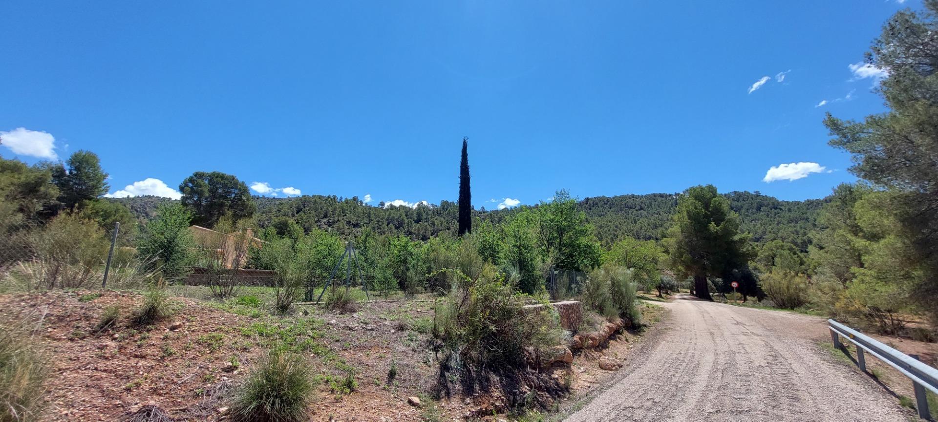 Pisos-Venta-Nerpio-1089579-Foto-76