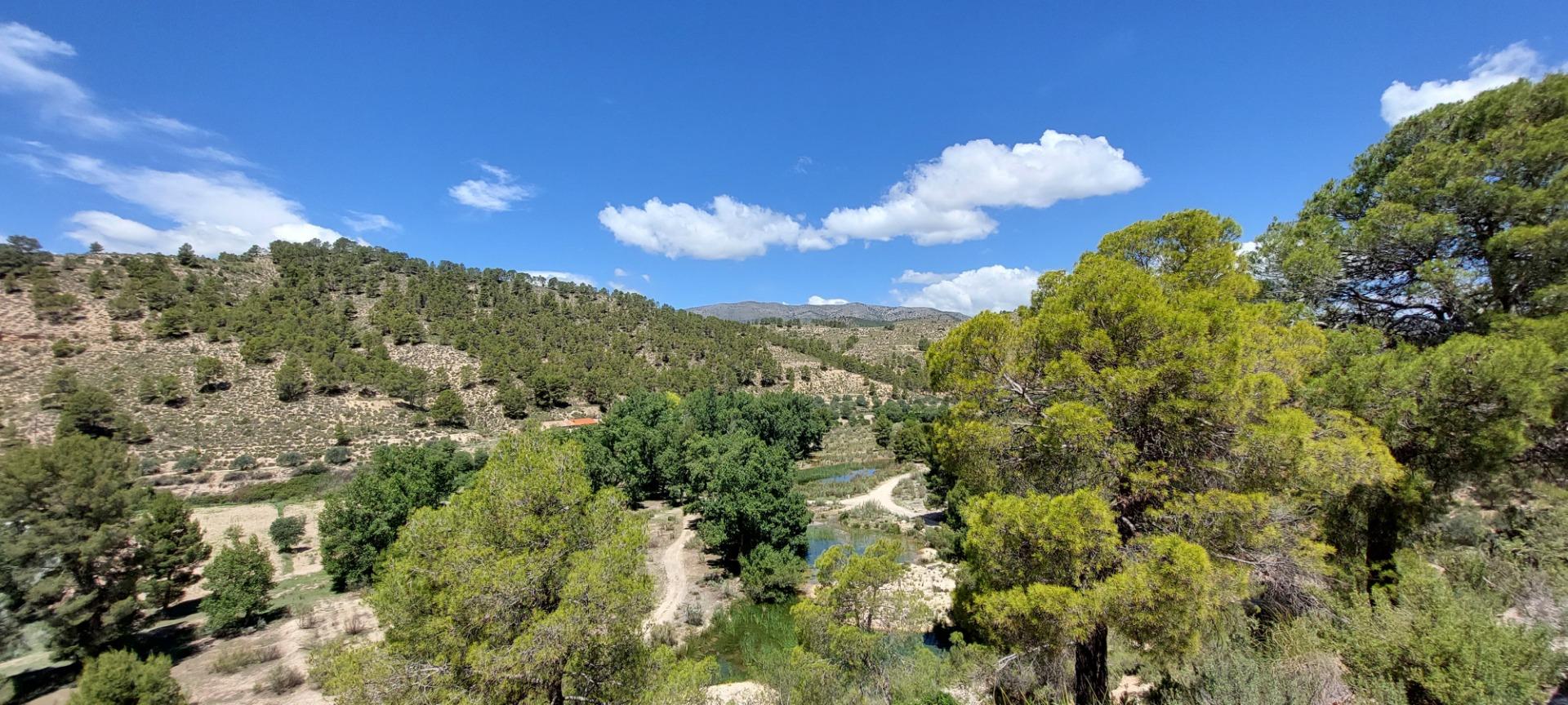 Pisos-Venta-Nerpio-1089579-Foto-77