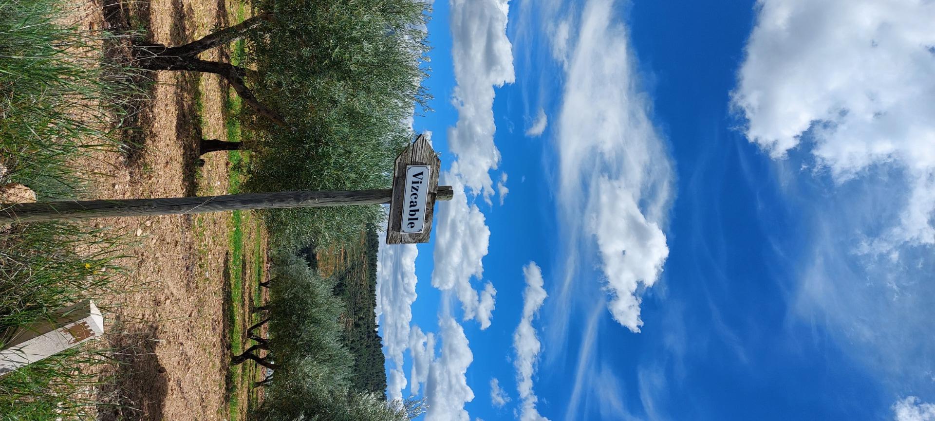 Pisos-Venta-Nerpio-1089579-Foto-80