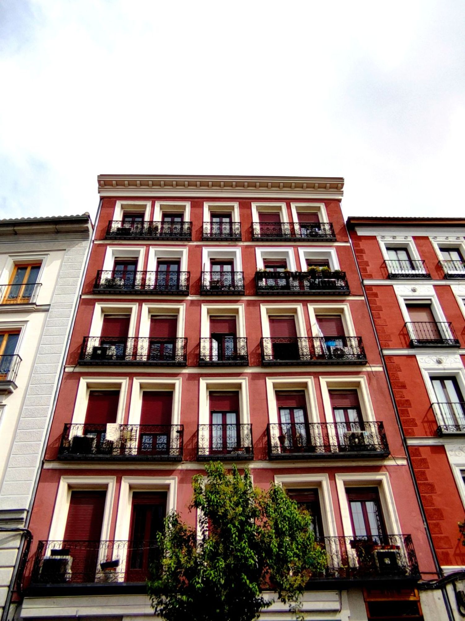 Pisos-Alquiler-Madrid-668127-Foto-16