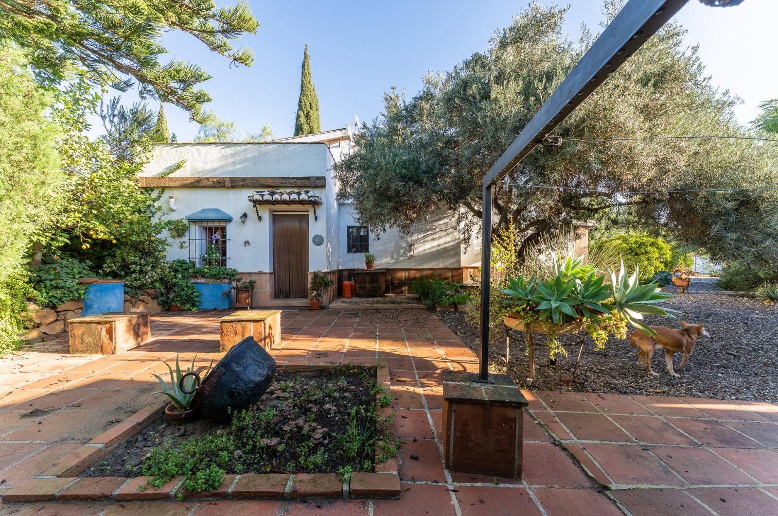 Pisos-Venta-Pizarra-1094563-Foto-55