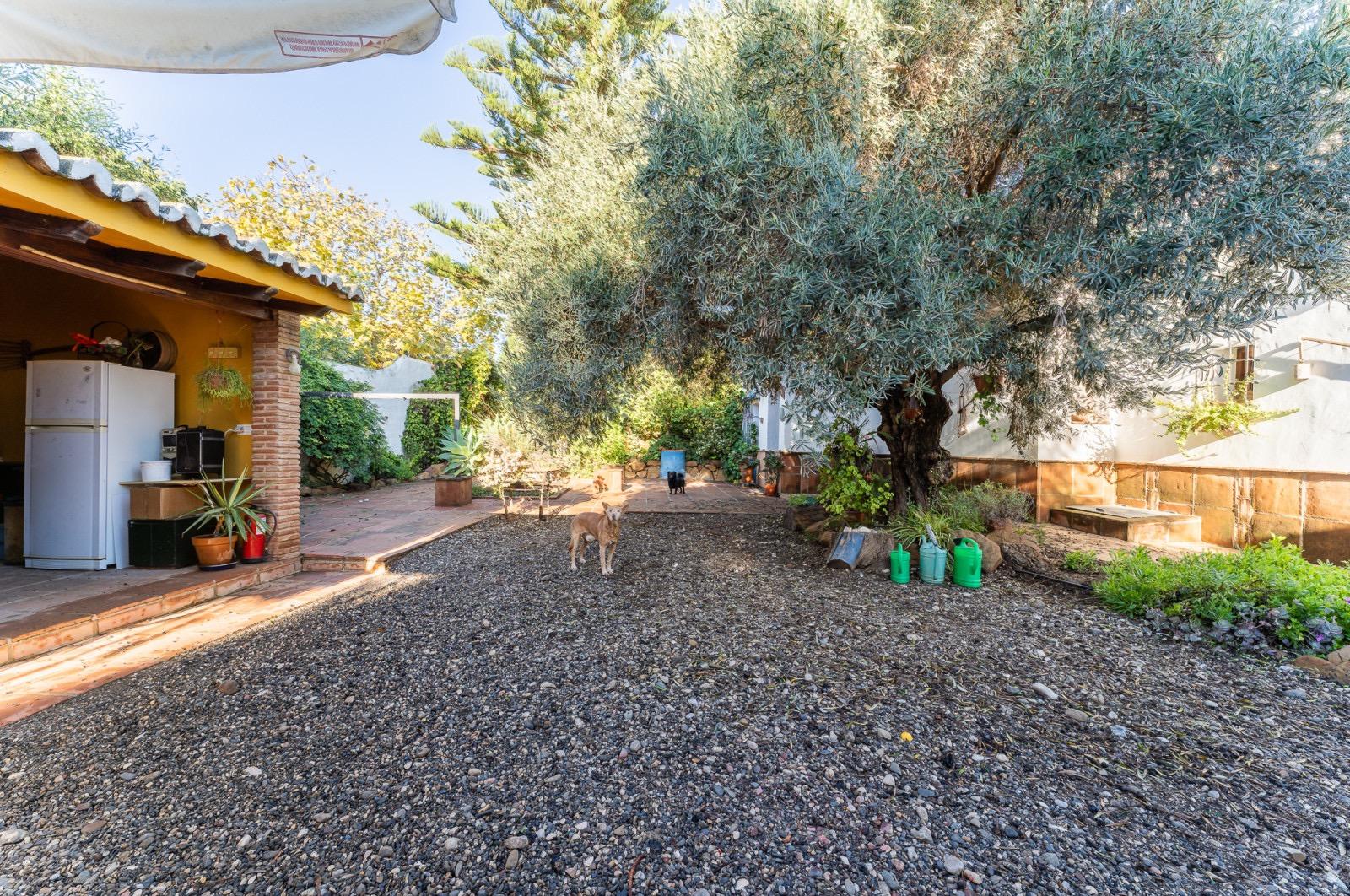 Pisos-Venta-Pizarra-1094563-Foto-56