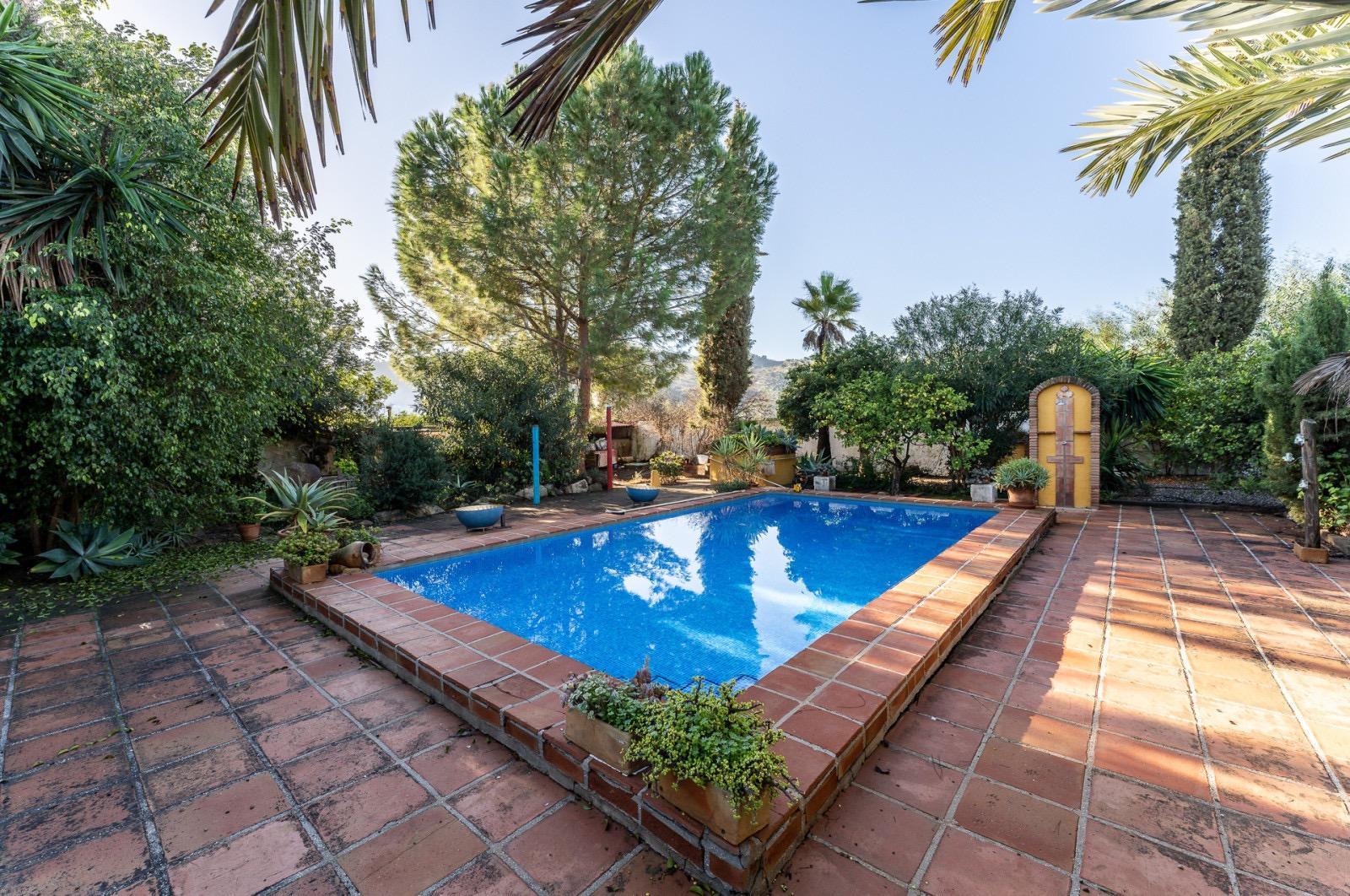 Pisos-Venta-Pizarra-1094563-Foto-57