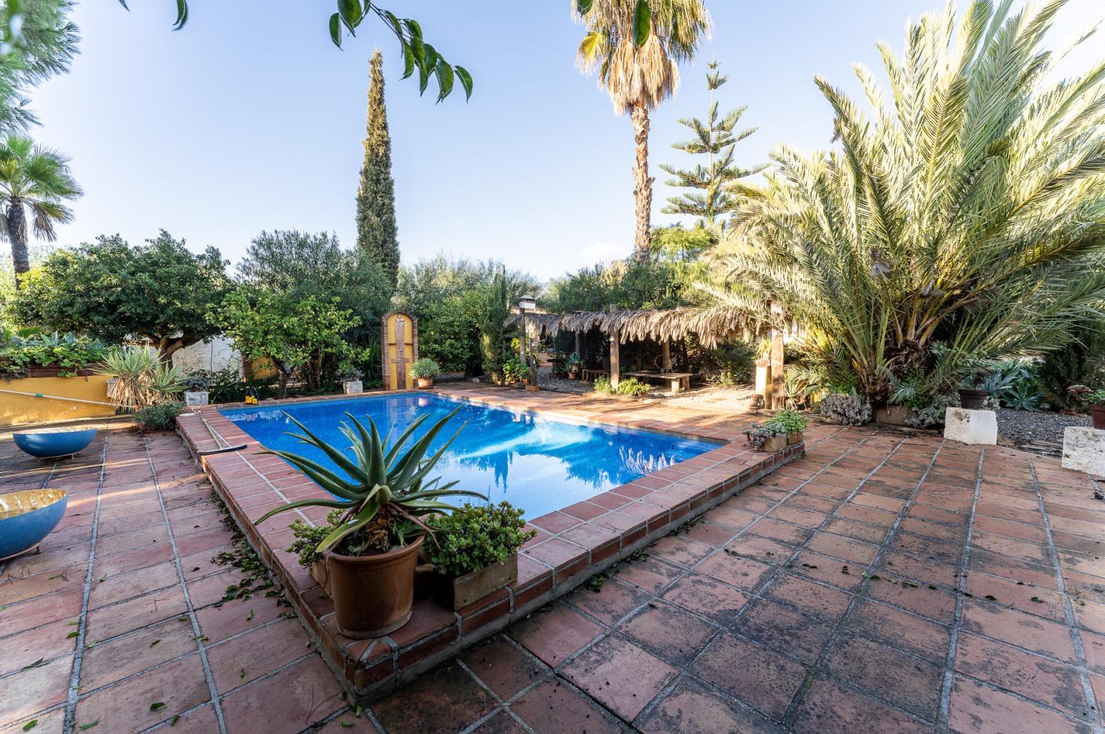 Pisos-Venta-Pizarra-1094563-Foto-59