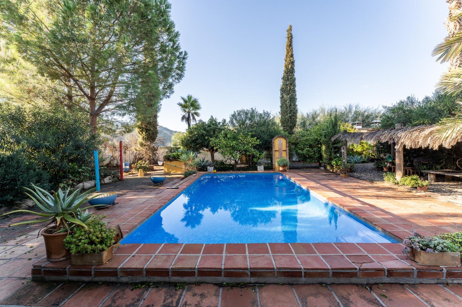 Pisos-Venta-Pizarra-1094563-Foto-58
