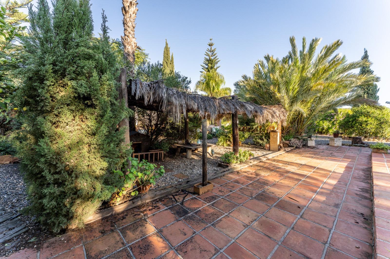 Pisos-Venta-Pizarra-1094563-Foto-61
