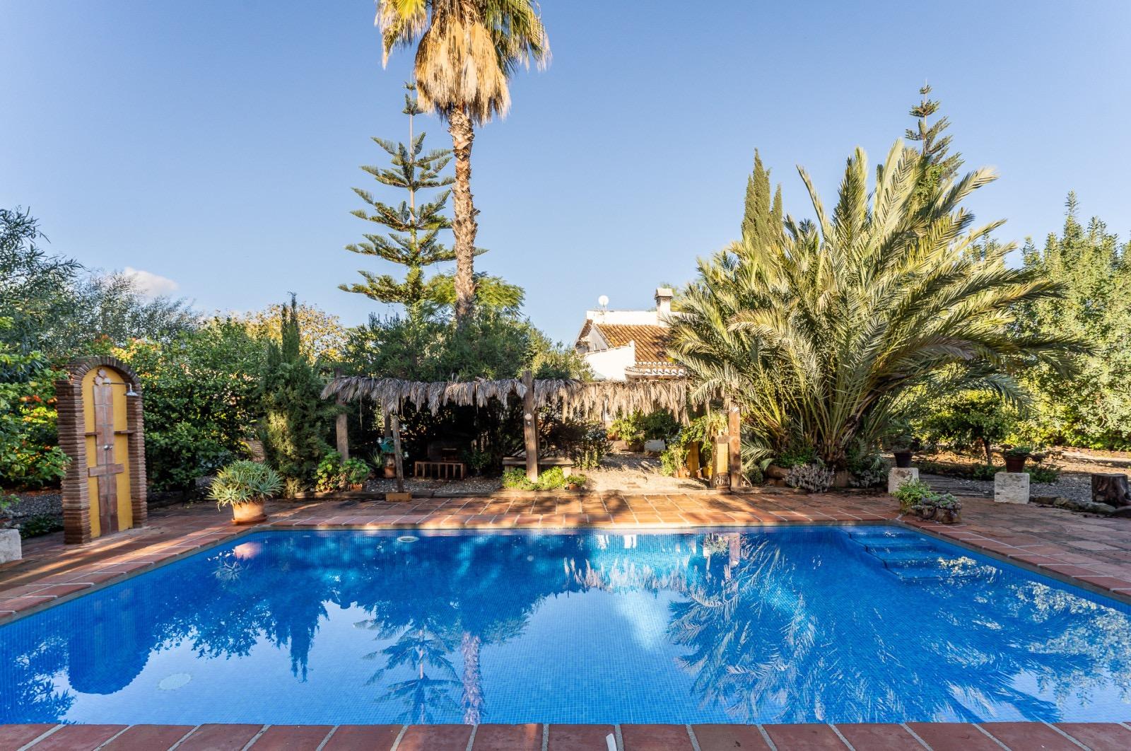 Pisos-Venta-Pizarra-1094563-Foto-60