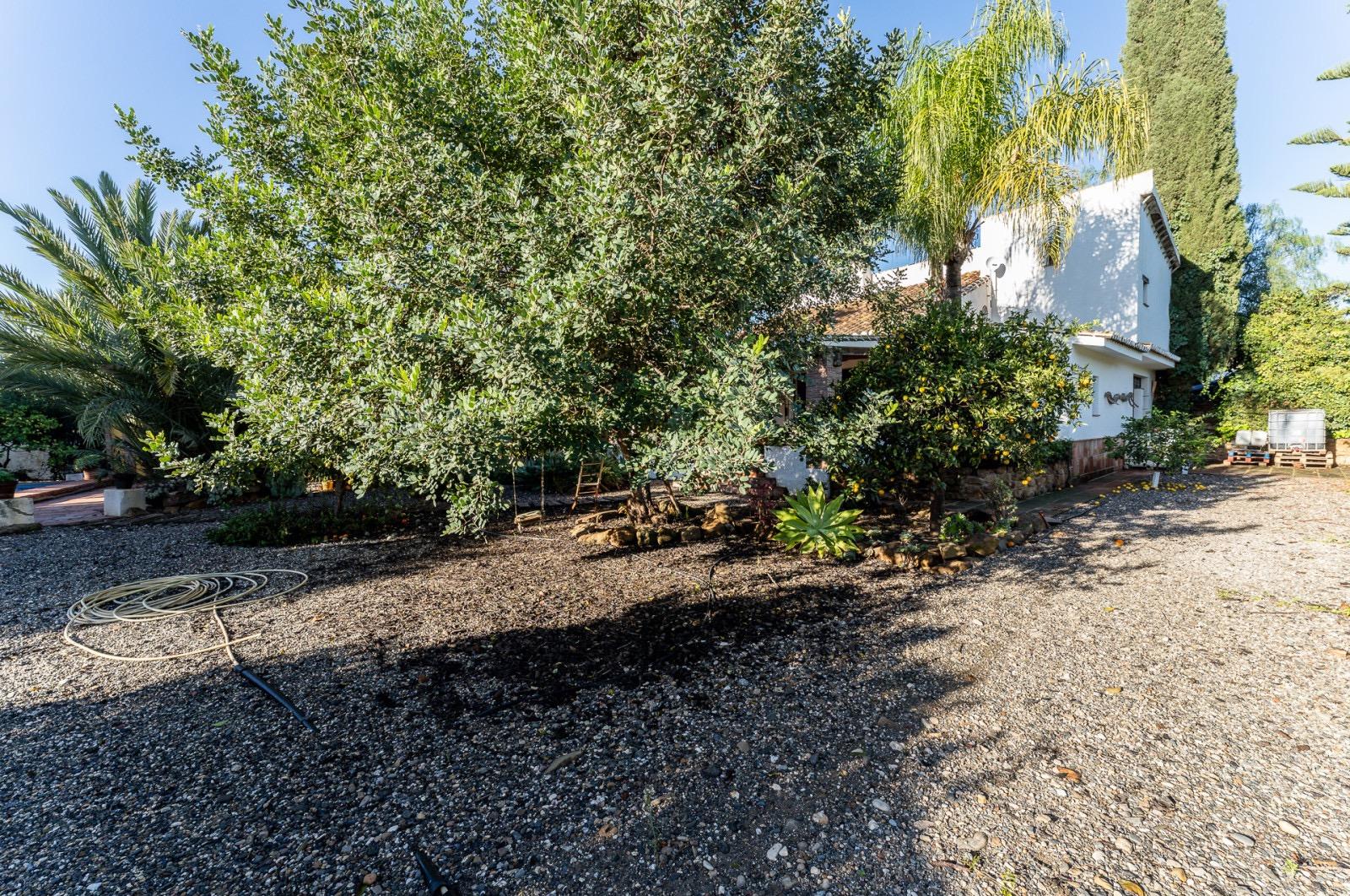 Pisos-Venta-Pizarra-1094563-Foto-66