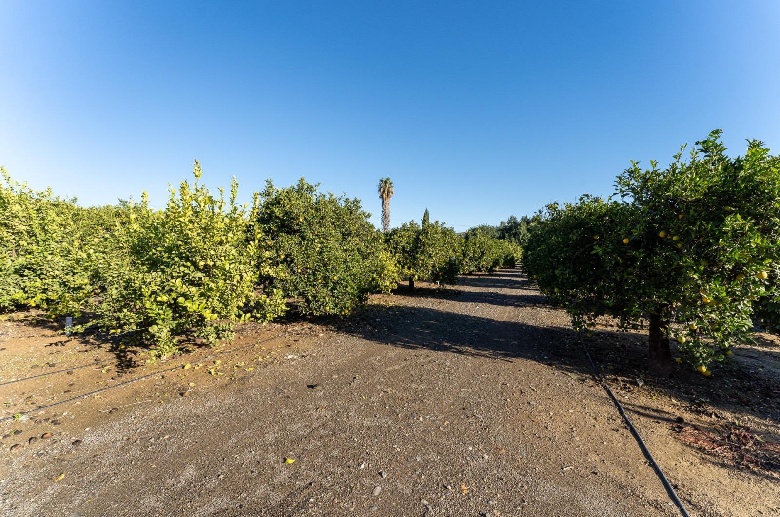 Pisos-Venta-Pizarra-1094563-Foto-68