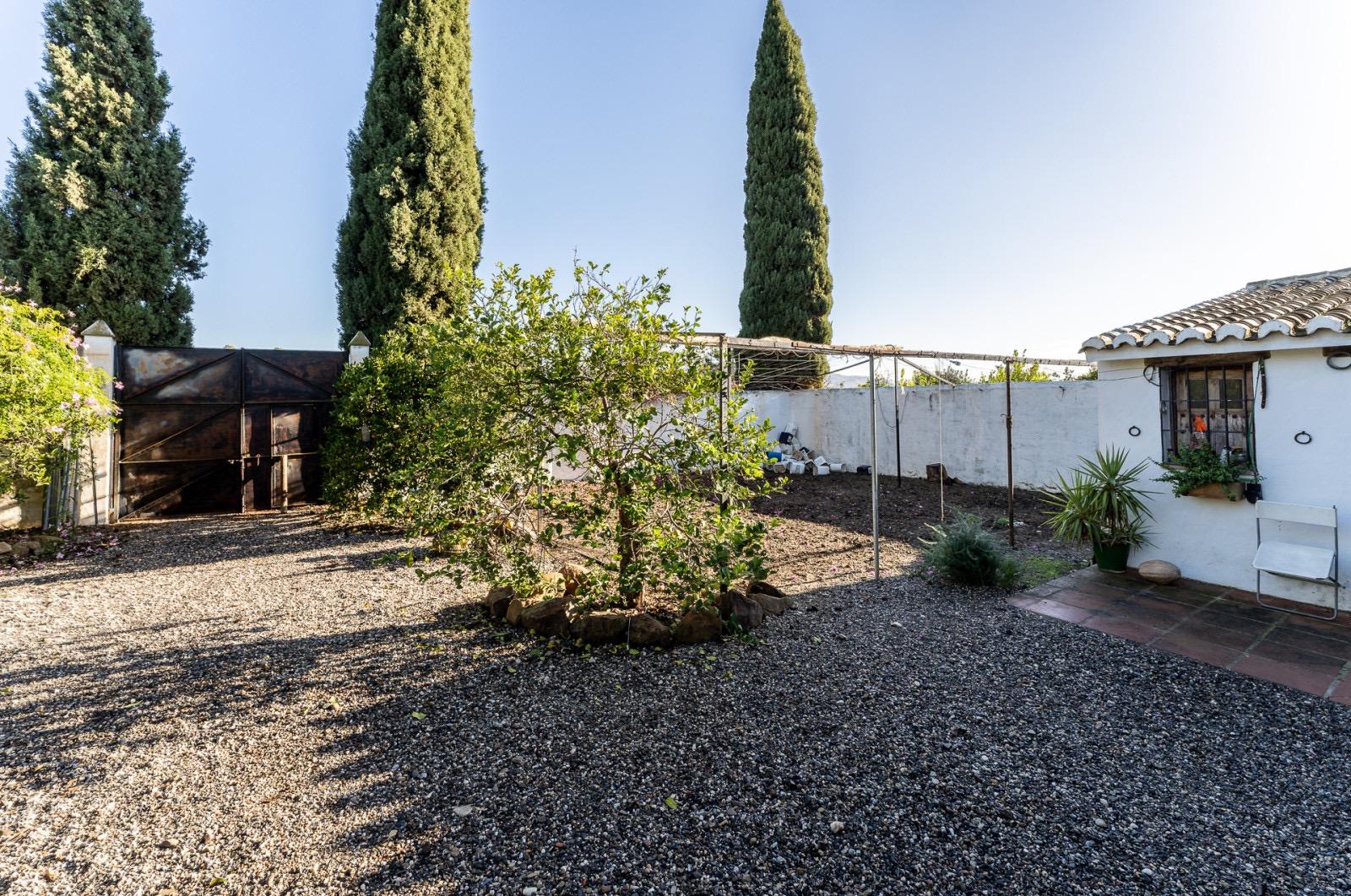 Pisos-Venta-Pizarra-1094563-Foto-63