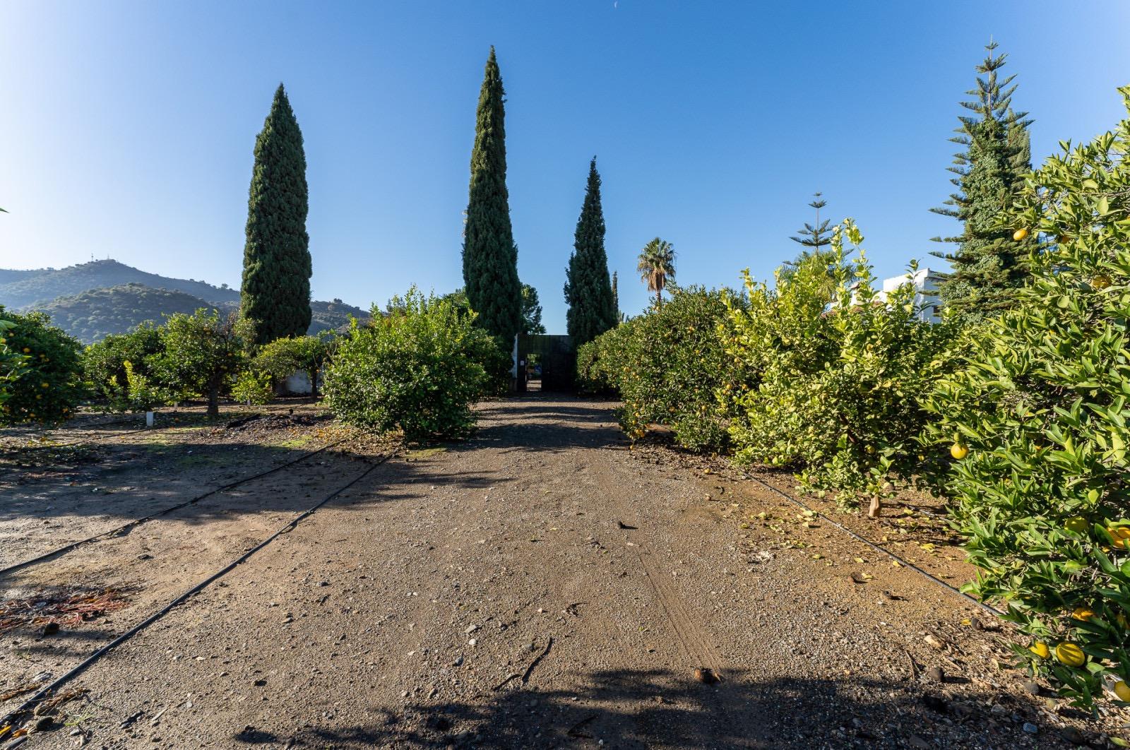 Pisos-Venta-Pizarra-1094563-Foto-69