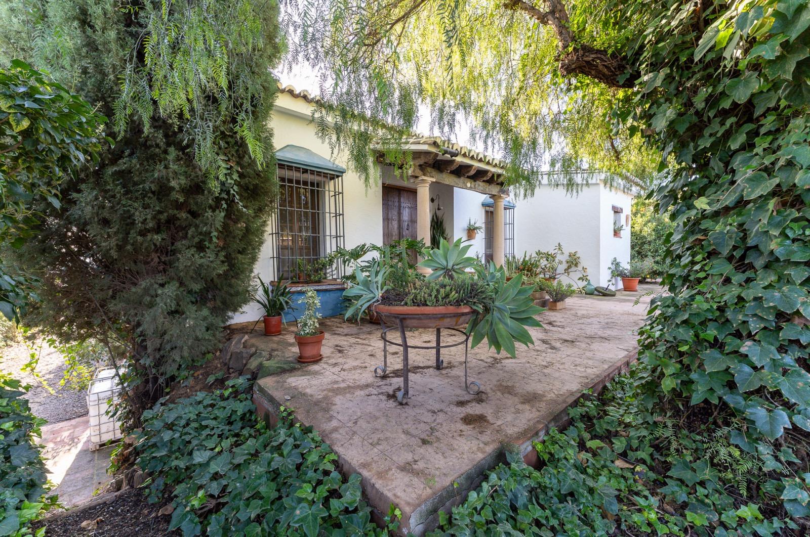 Pisos-Venta-Pizarra-1094563-Foto-72
