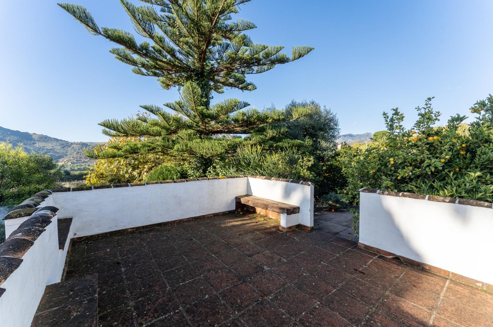Pisos-Venta-Pizarra-1094563-Foto-74