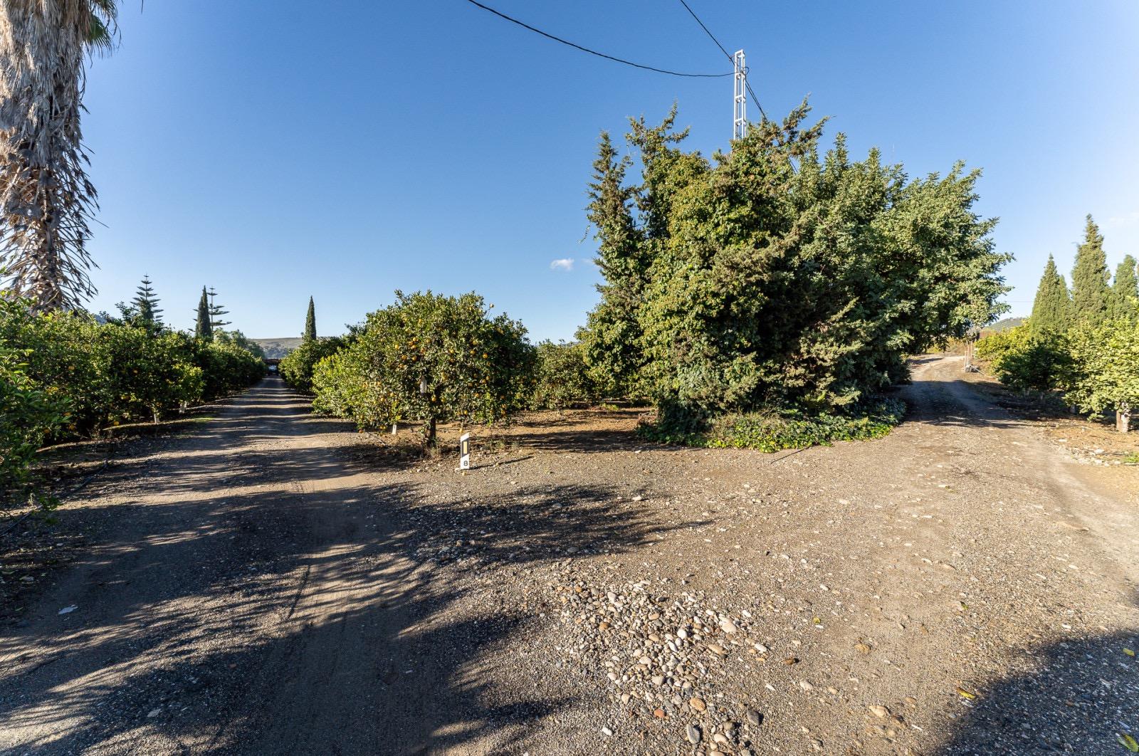 Pisos-Venta-Pizarra-1094563-Foto-81