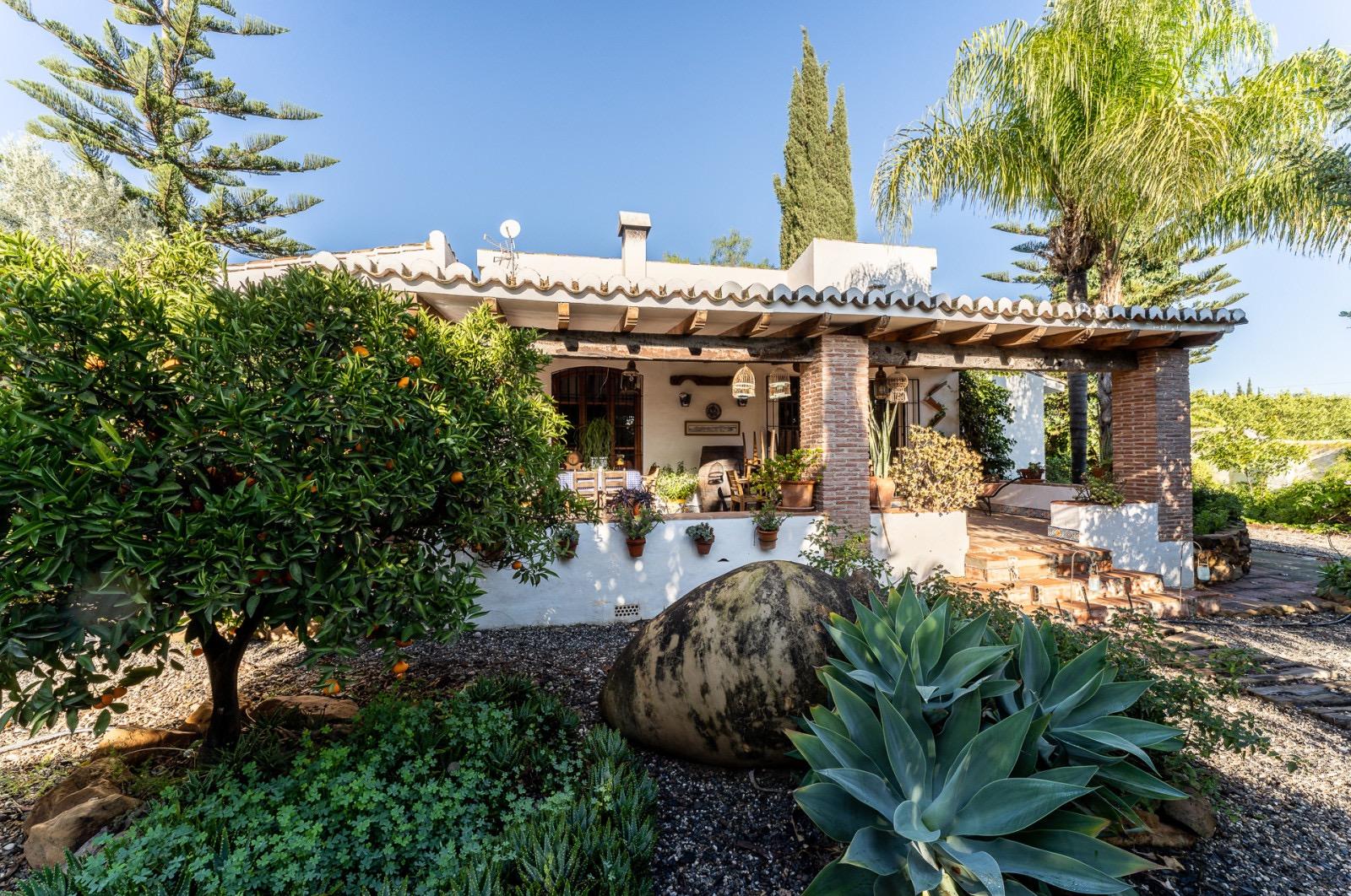 Pisos-Venta-Pizarra-1094563-Foto-84