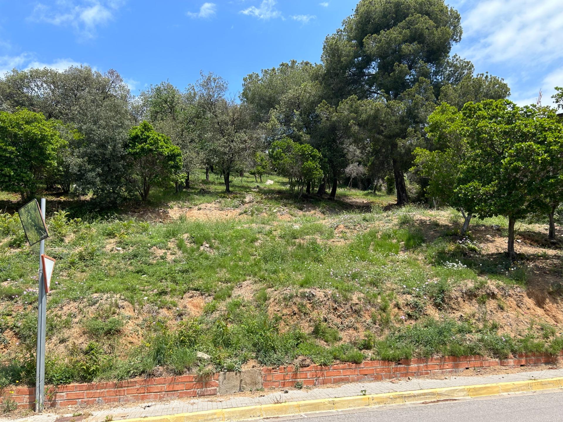 Fincas y solares-Venta-Sant Fost de Campsentelles-1115452-Foto-3