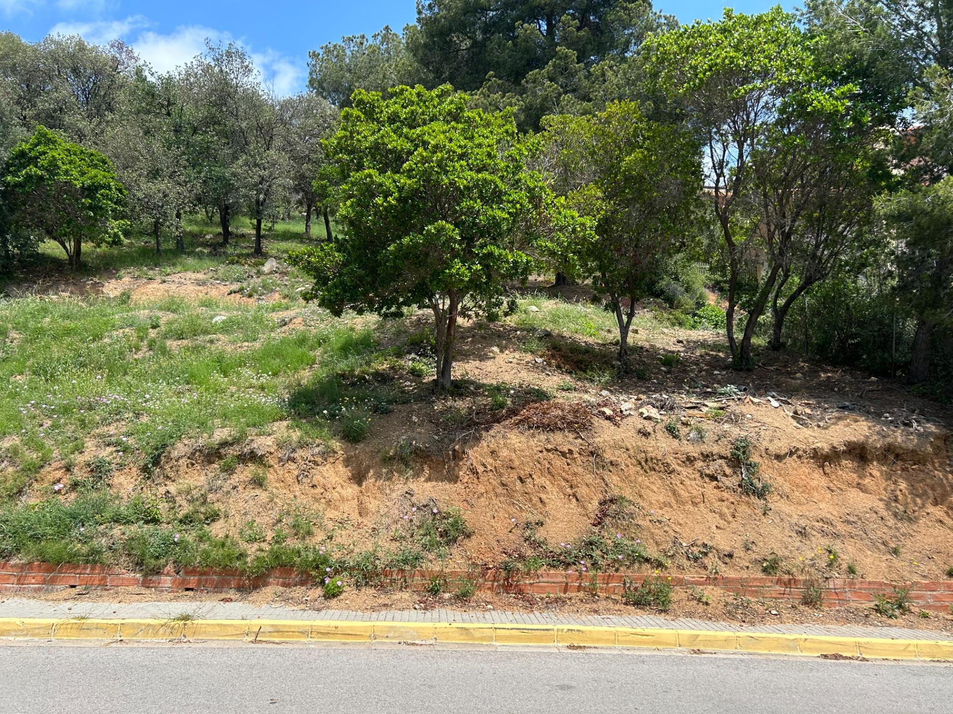 Fincas y solares-Venta-Sant Fost de Campsentelles-1115452