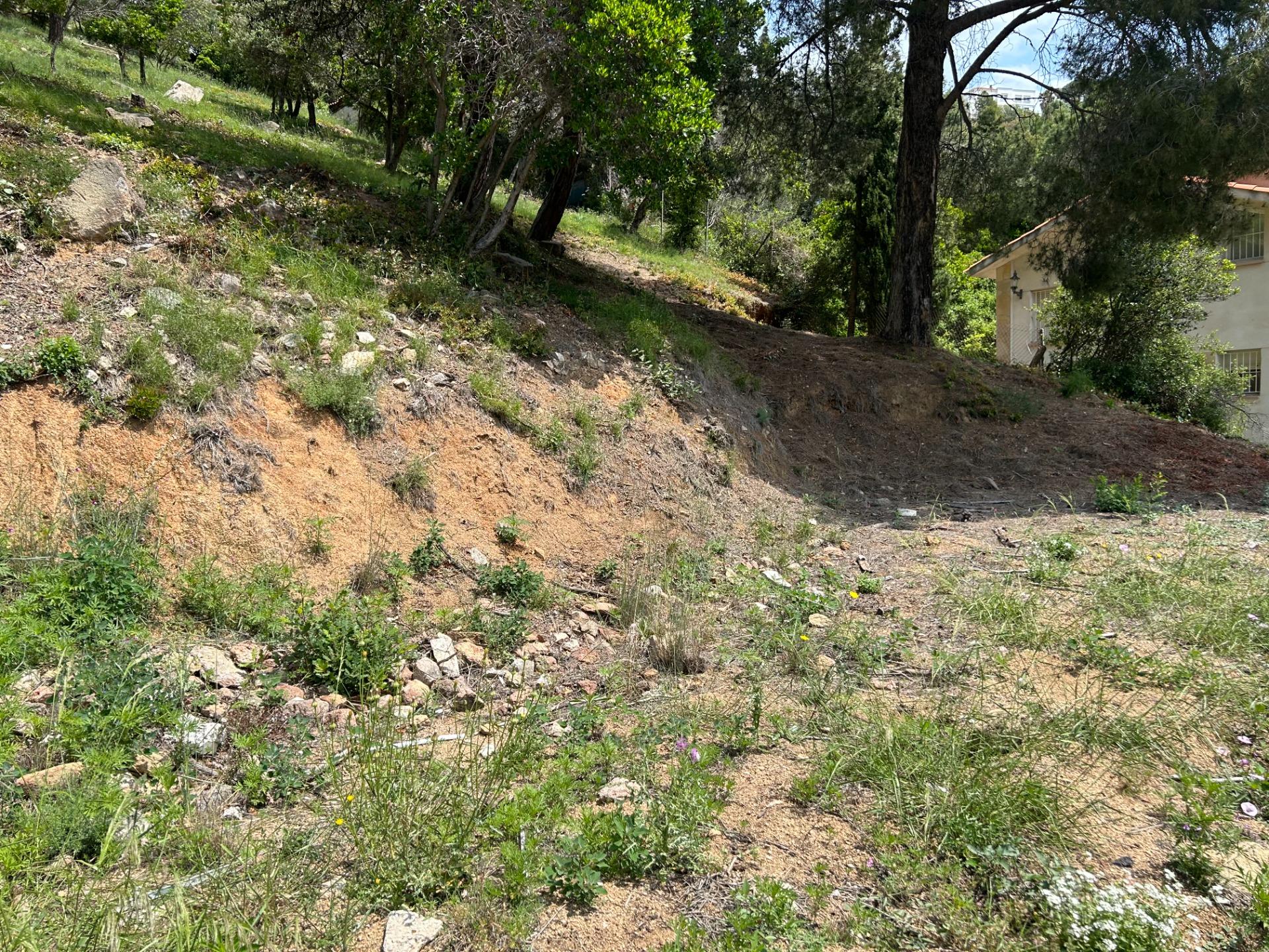 Fincas y solares-Venta-Sant Fost de Campsentelles-1115452-Foto-5