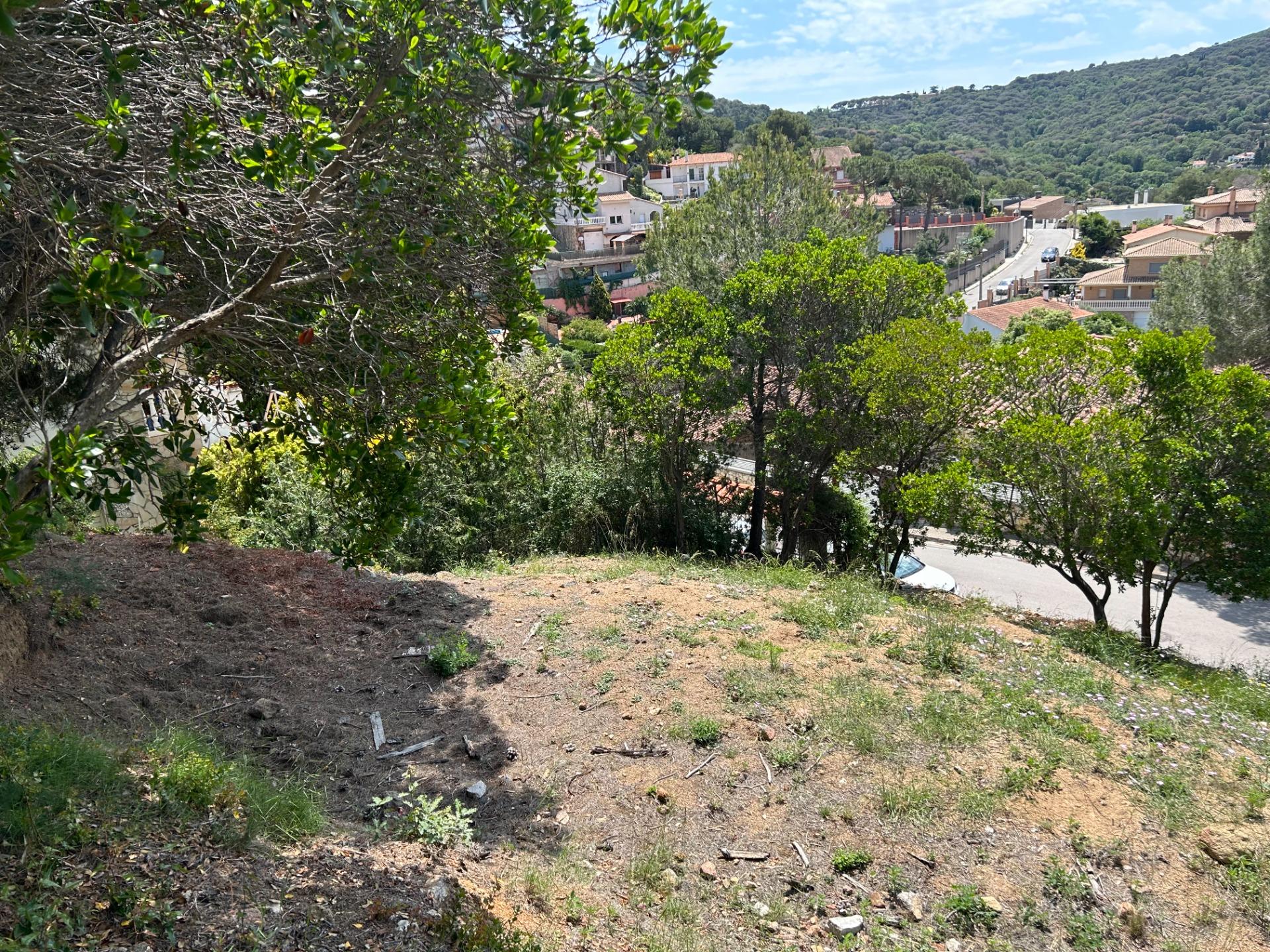 Fincas y solares-Venta-Sant Fost de Campsentelles-1115452-Foto-19