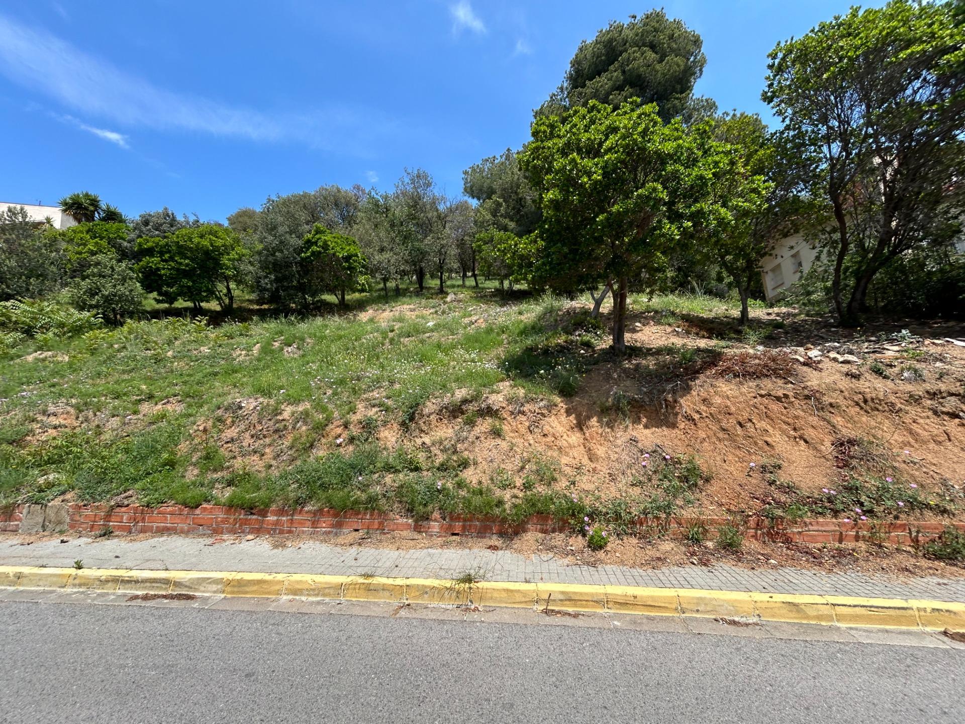 Fincas y solares-Venta-Sant Fost de Campsentelles-1115452-Foto-20