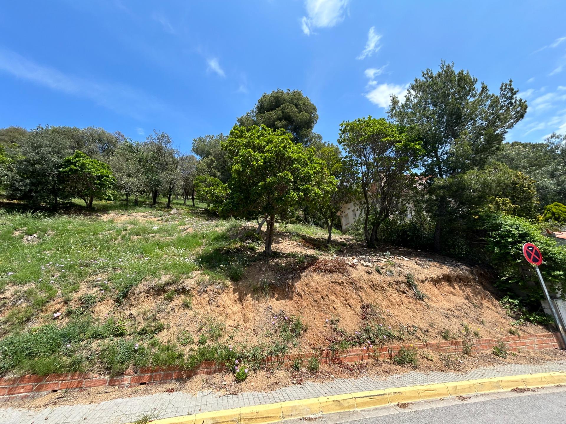 Fincas y solares-Venta-Sant Fost de Campsentelles-1115452-Foto-21