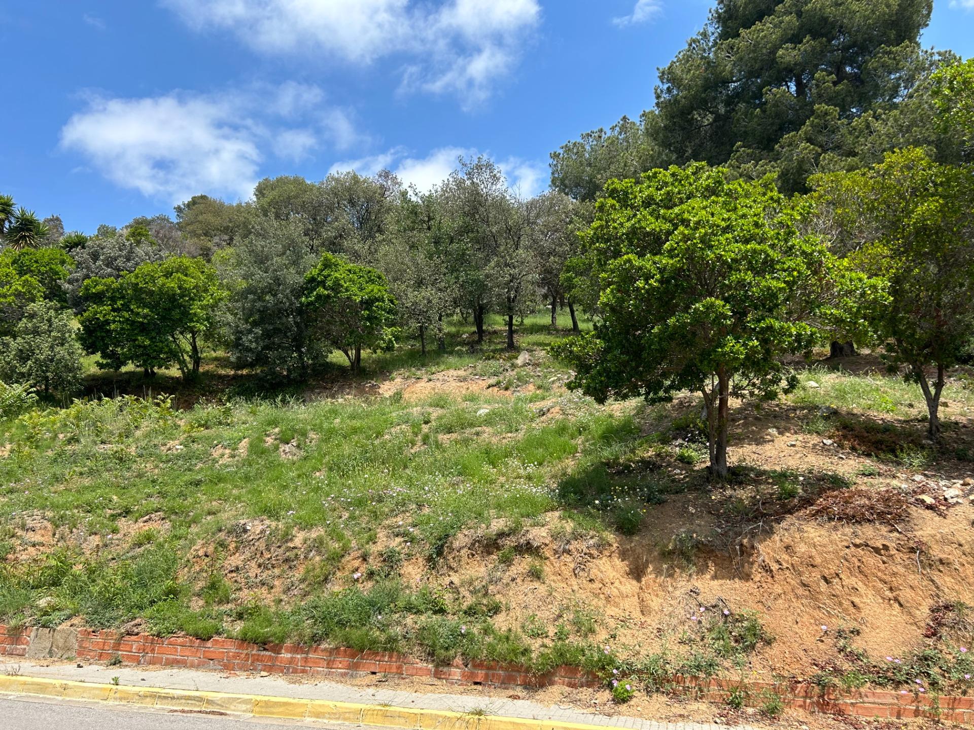 Fincas y solares-Venta-Sant Fost de Campsentelles-1115452-Foto-2