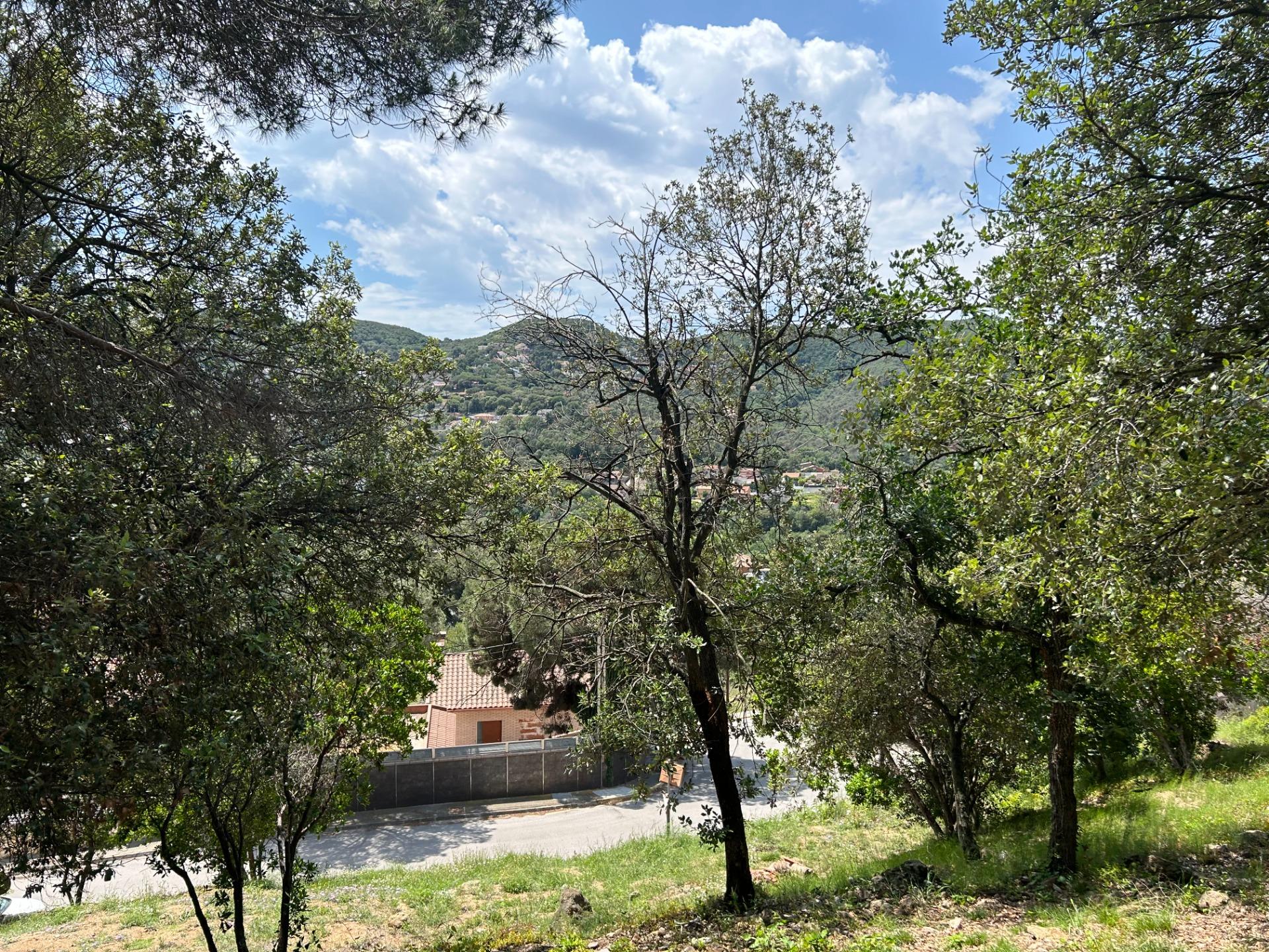 Fincas y solares-Venta-Sant Fost de Campsentelles-1115452-Foto-15