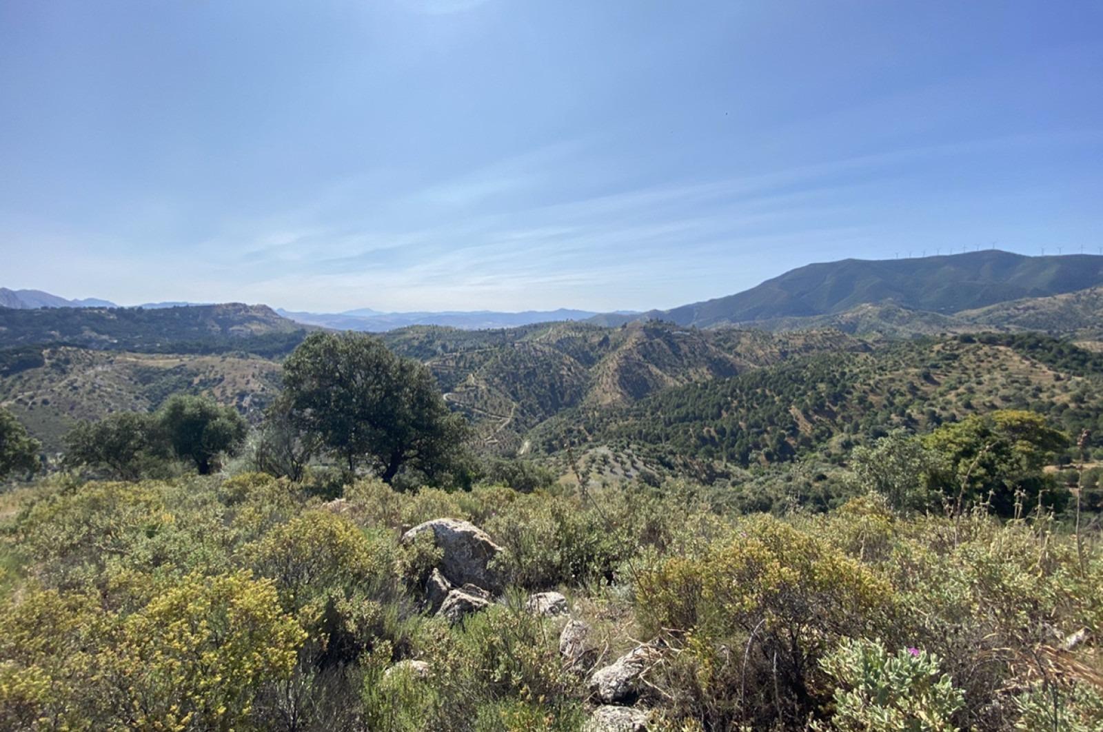 Fincas y solares-Venta-Ardales-1139214-Foto-21
