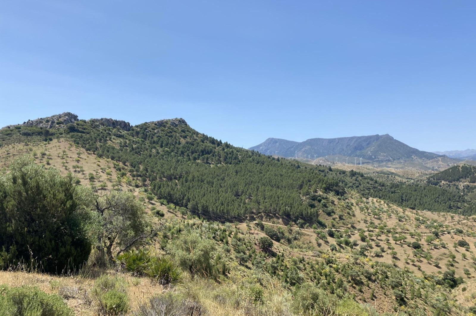 Fincas y solares-Venta-Ardales-1139214-Foto-37