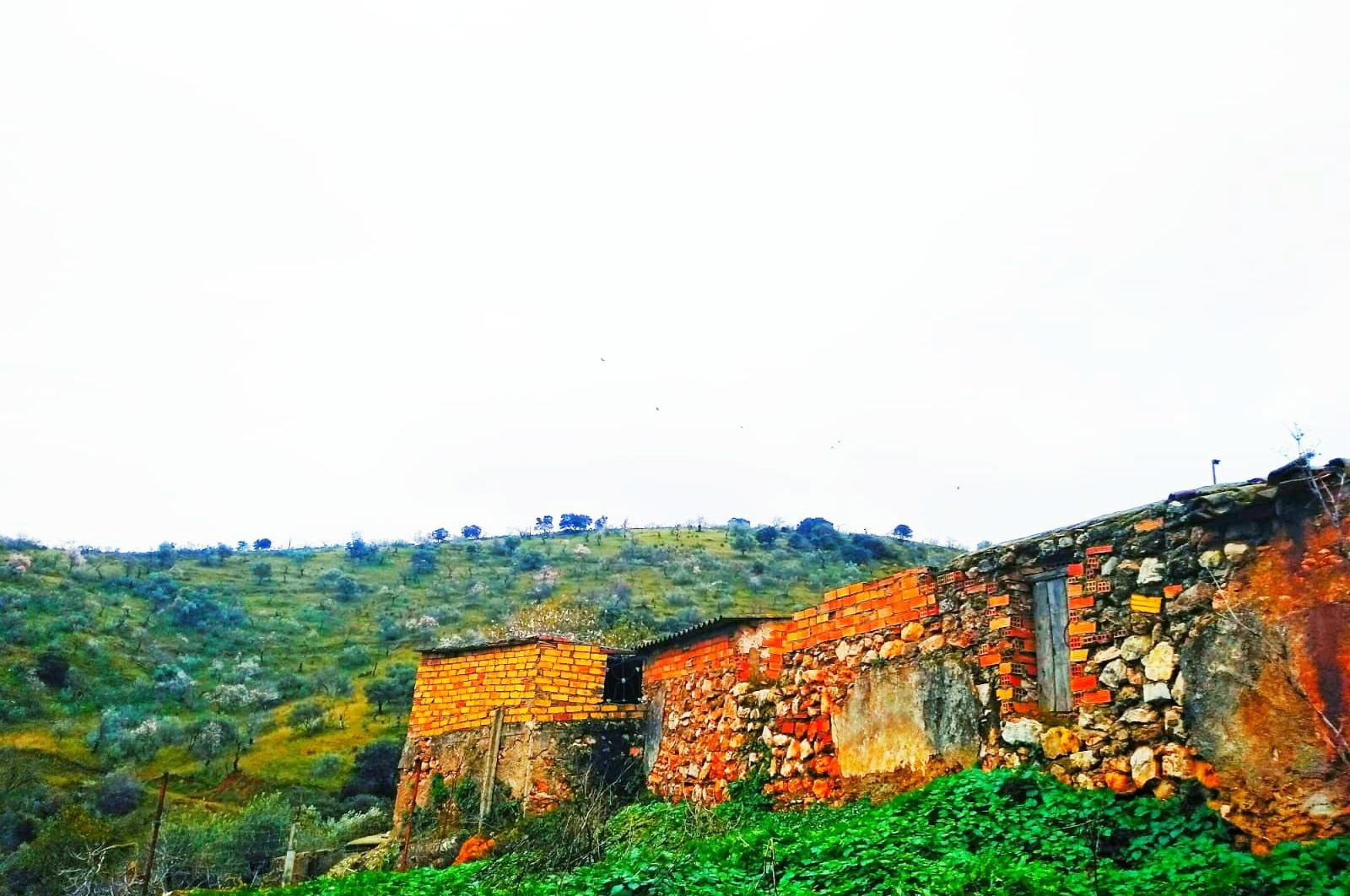 Fincas y solares-Venta-Ardales-1139214-Foto-45