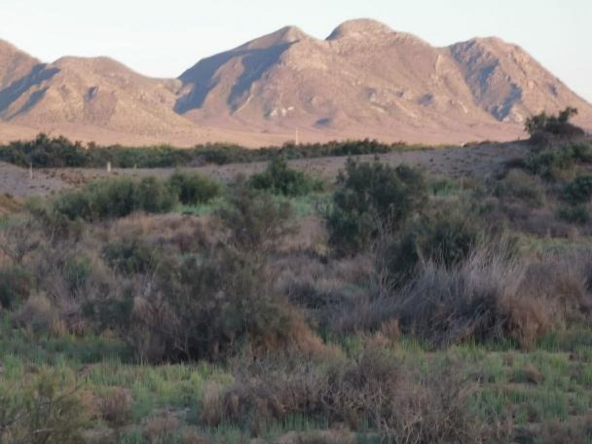 Fincas y solares-Venta-Cabo de Gata-1233241-Foto-7