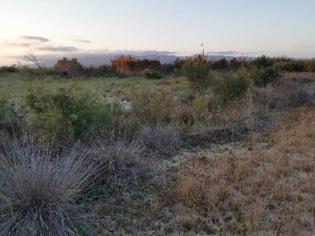 Fincas y solares-Venta-Cabo de Gata-1233241-Foto-77