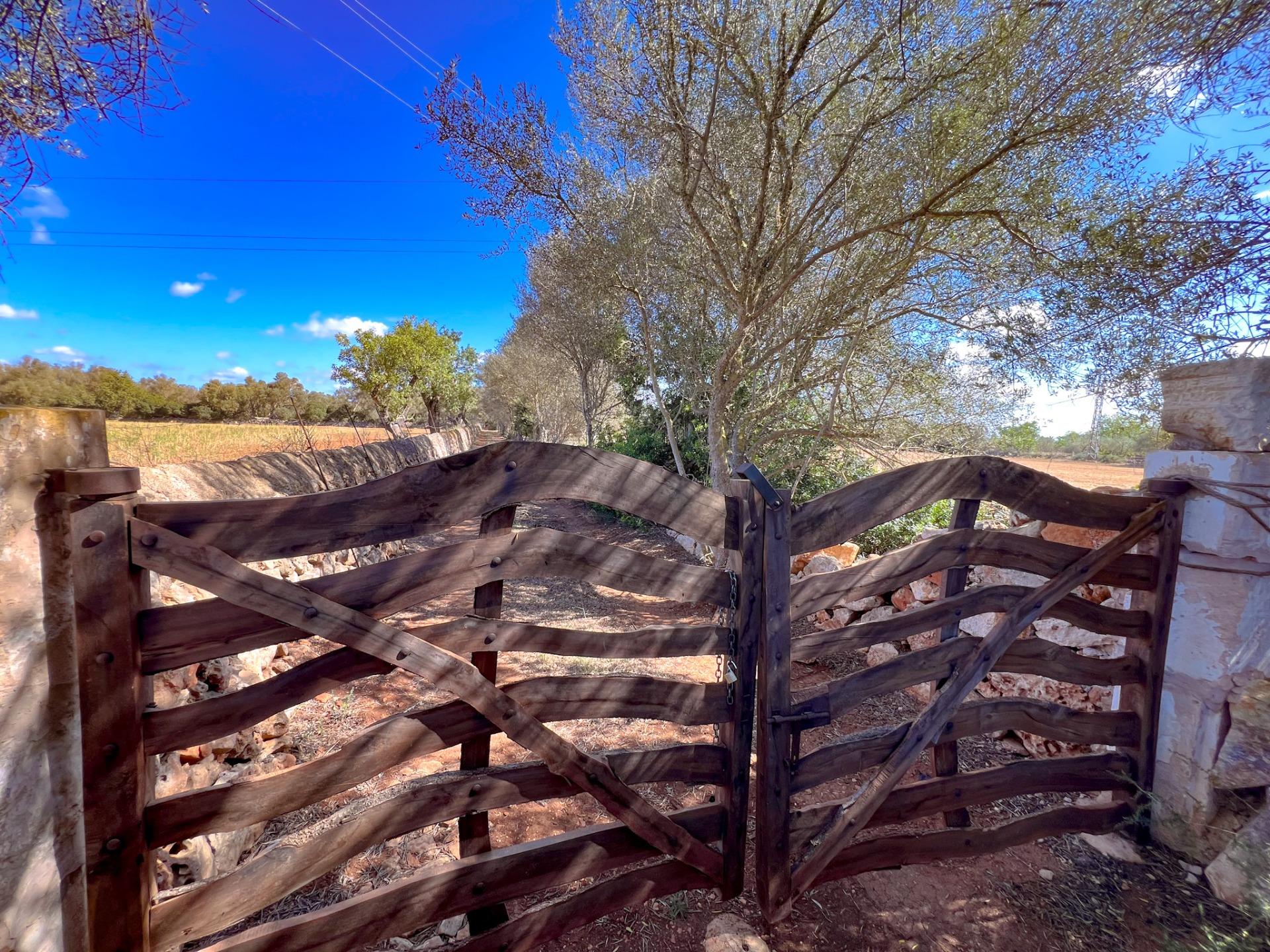 Terreno en venta  Felanitx  3/22