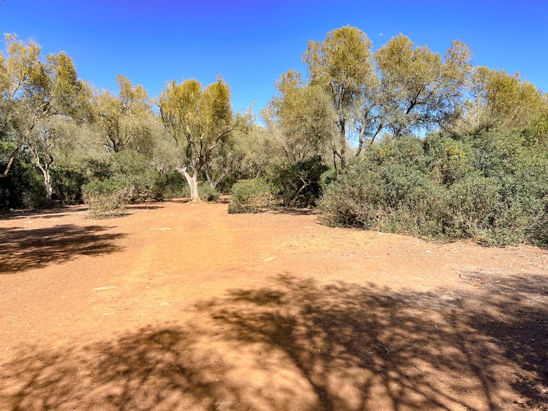 Terreno en venta  Felanitx  5/22