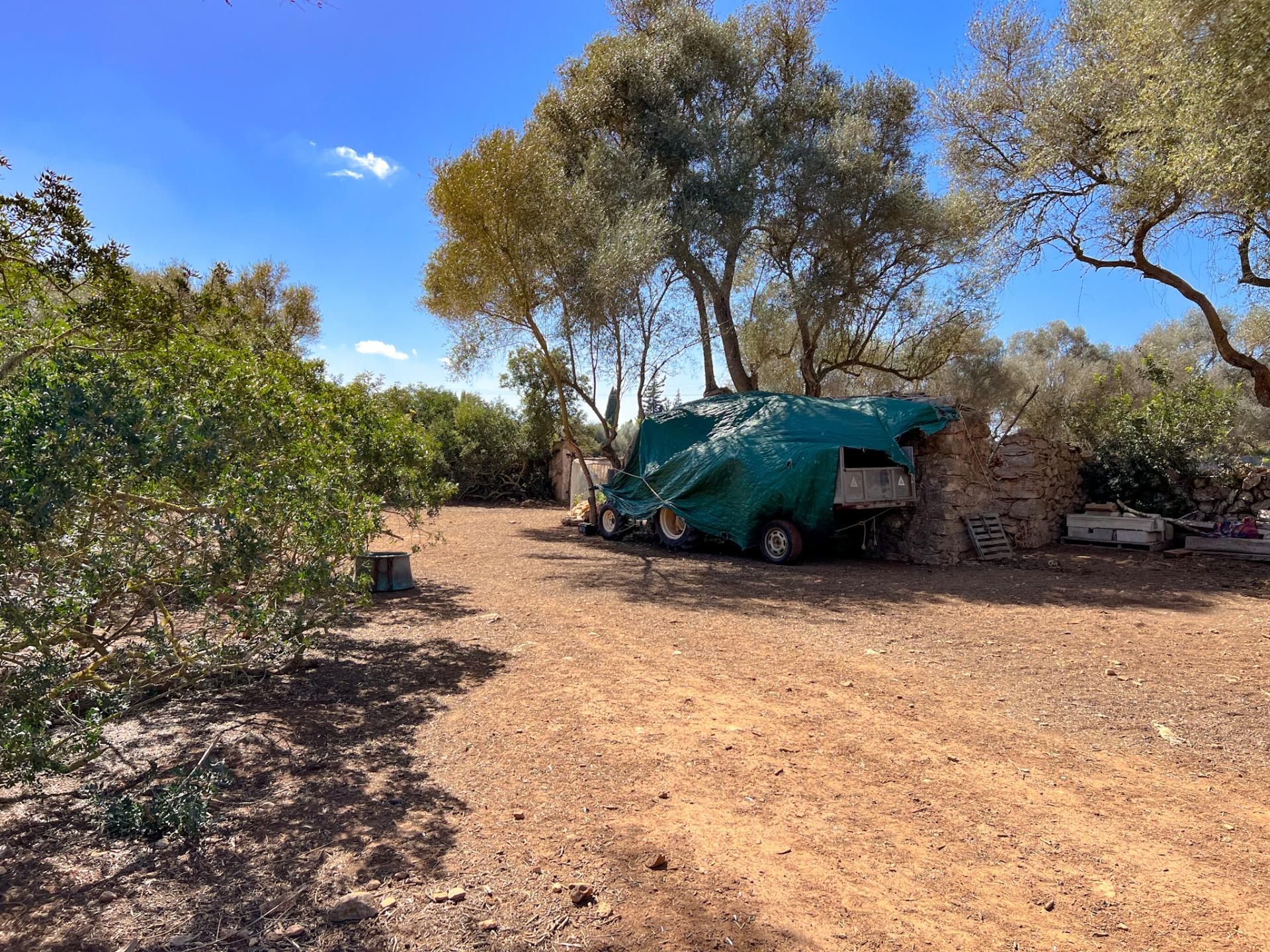 Terreno en venta  Felanitx  6/22