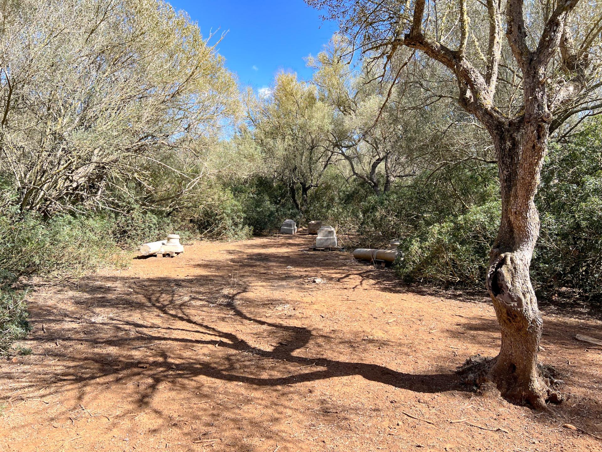 Terreno en venta  Felanitx  8/22