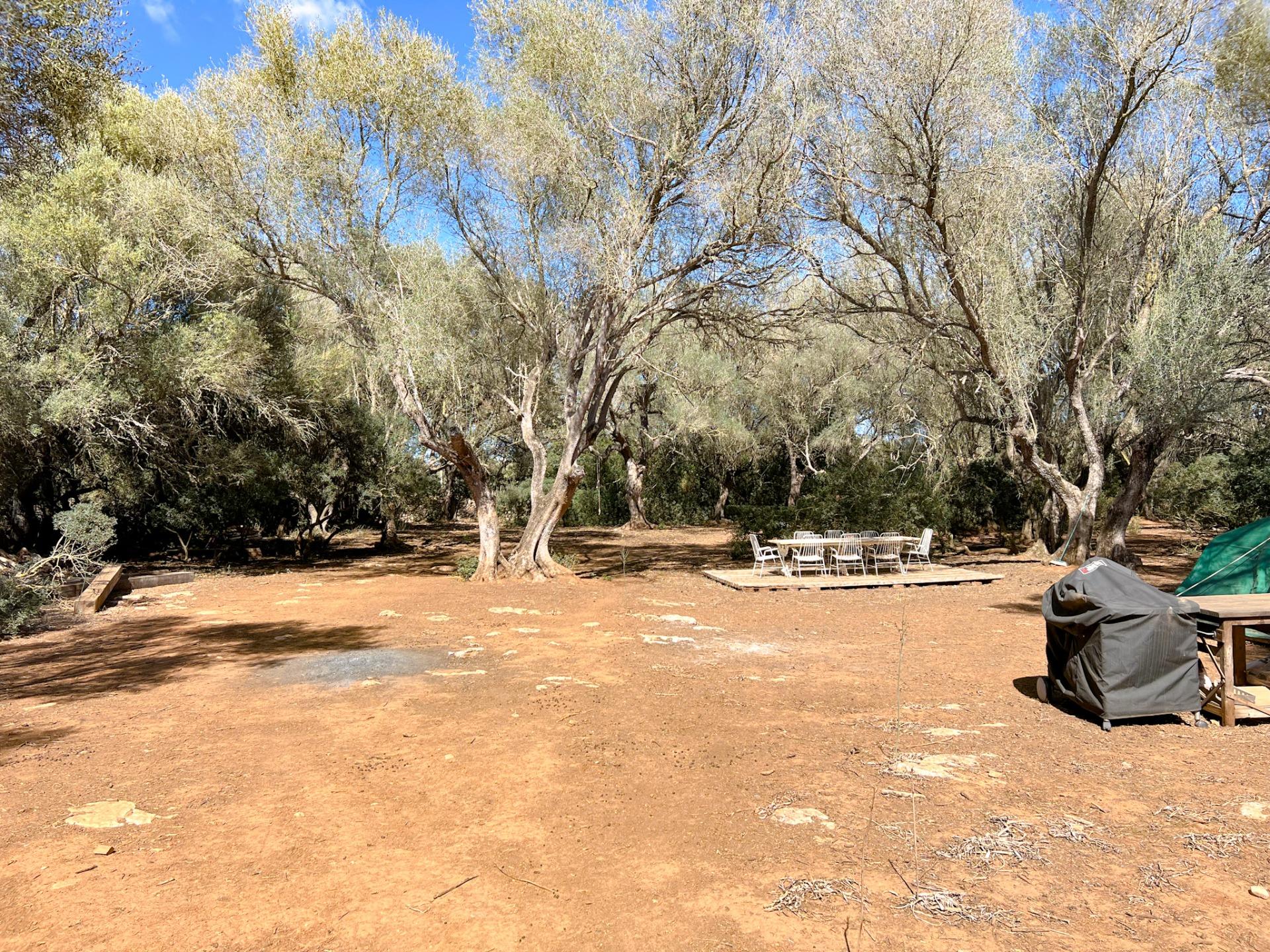 Terreno en venta  Felanitx  10/22