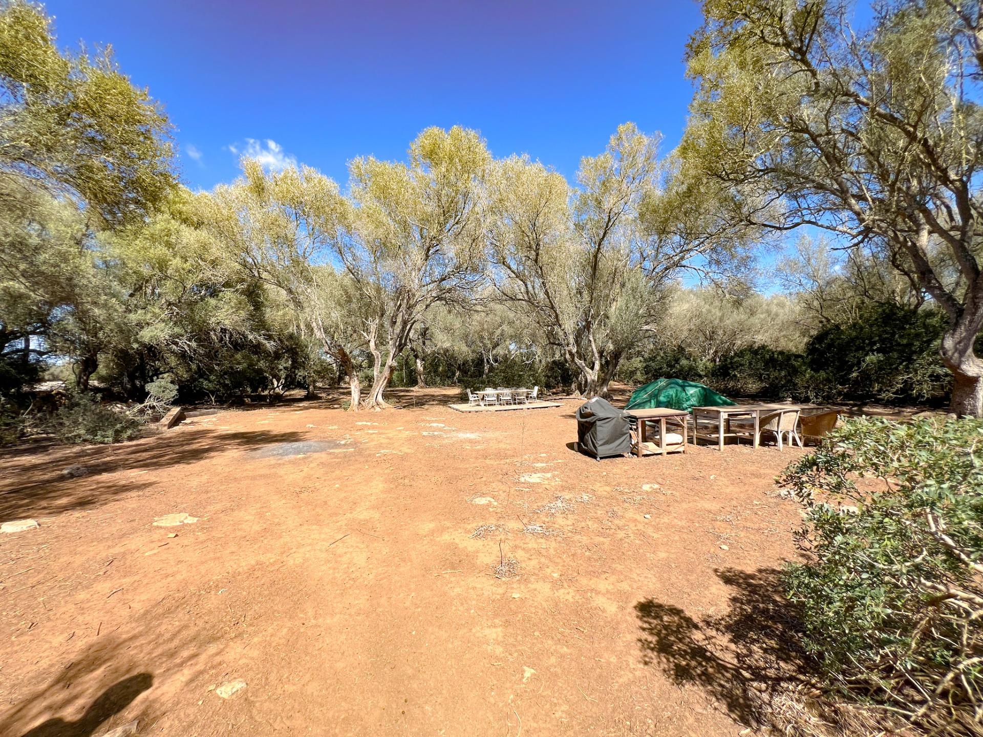 Terreno en venta  Felanitx  11/22