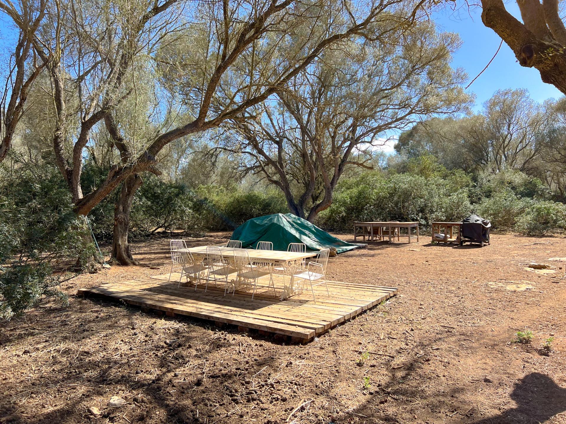 Terreno en venta  Felanitx  12/22