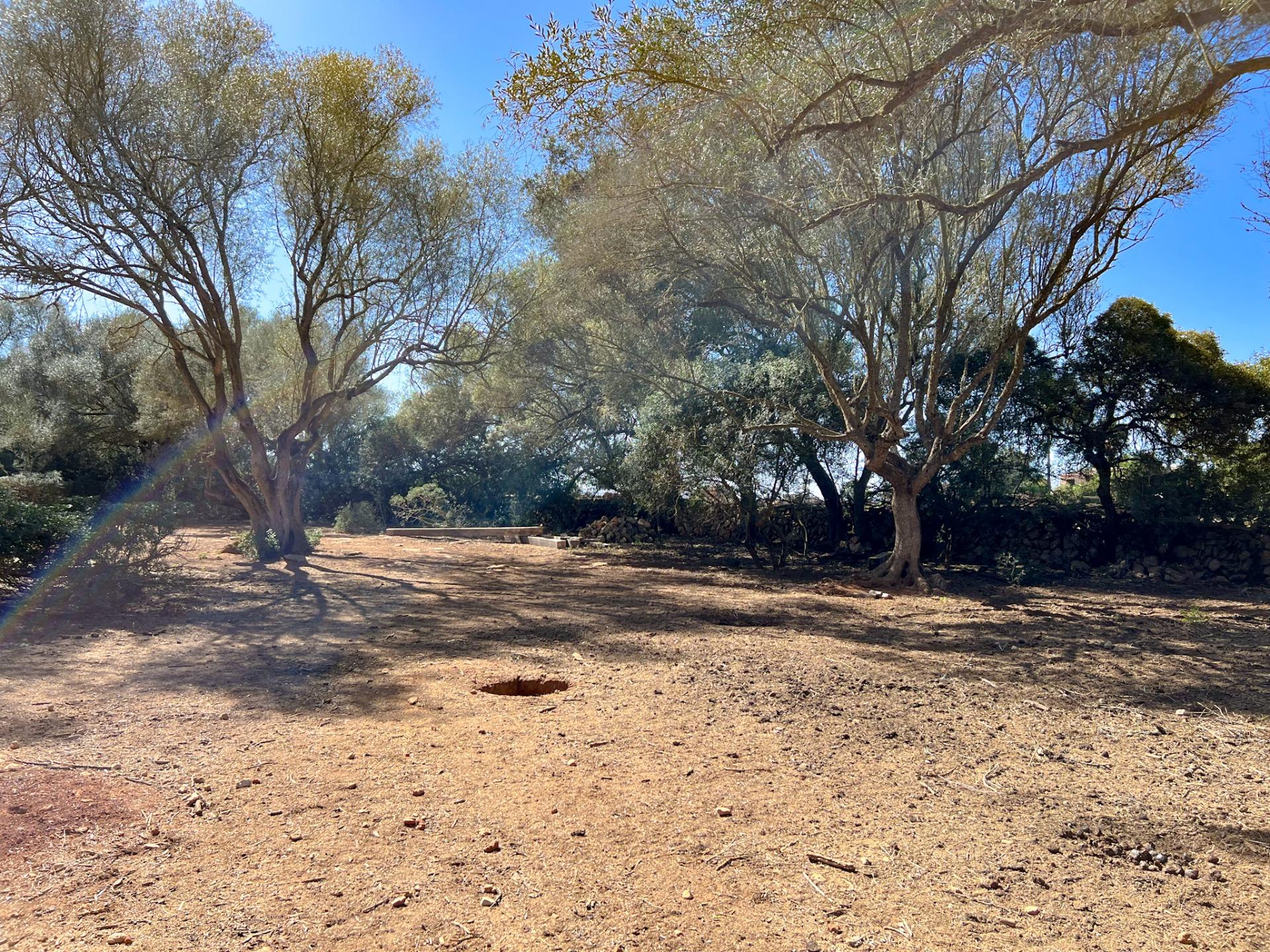 Terreno en venta  Felanitx  13/22