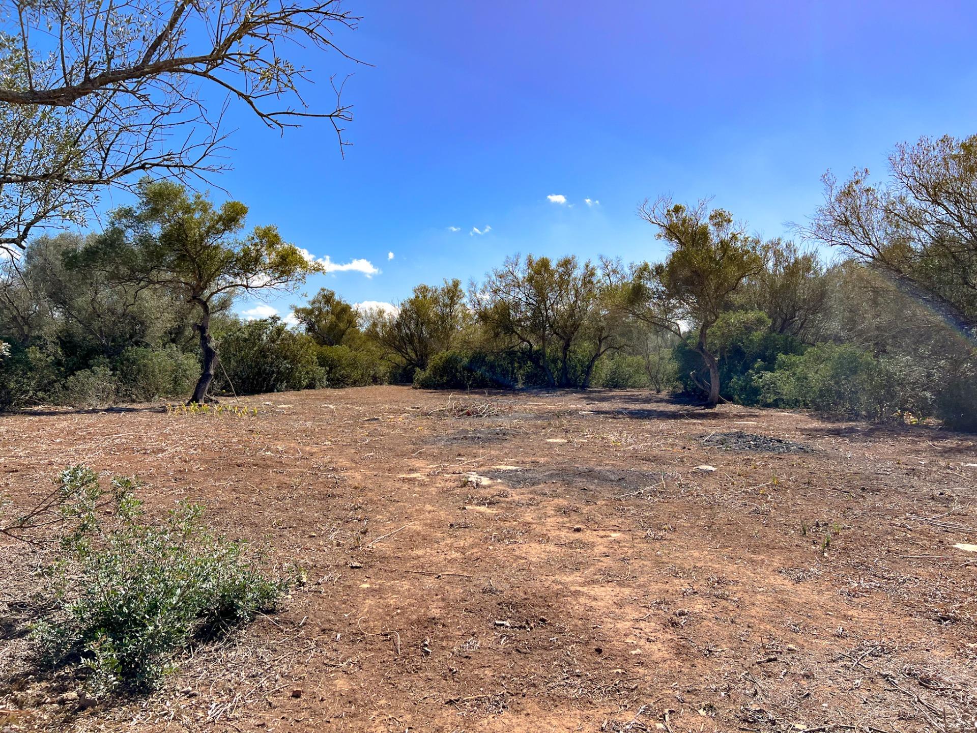 Terreno en venta  Felanitx  16/22