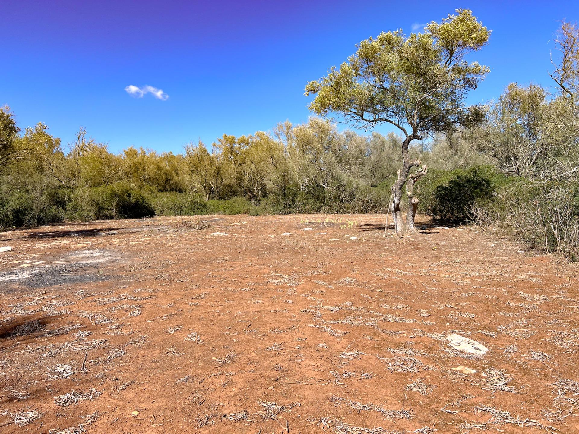 Terreno en venta  Felanitx  18/22