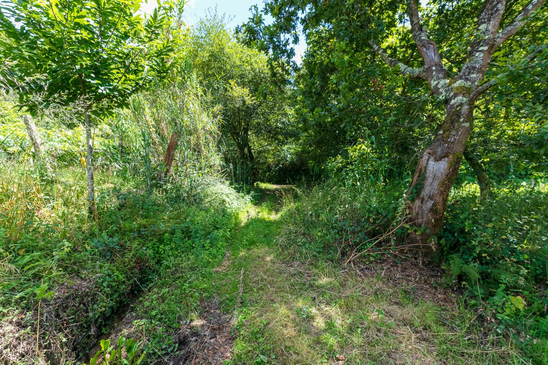 Fincas y solares-Venta-Vigo-1080794-Foto-22