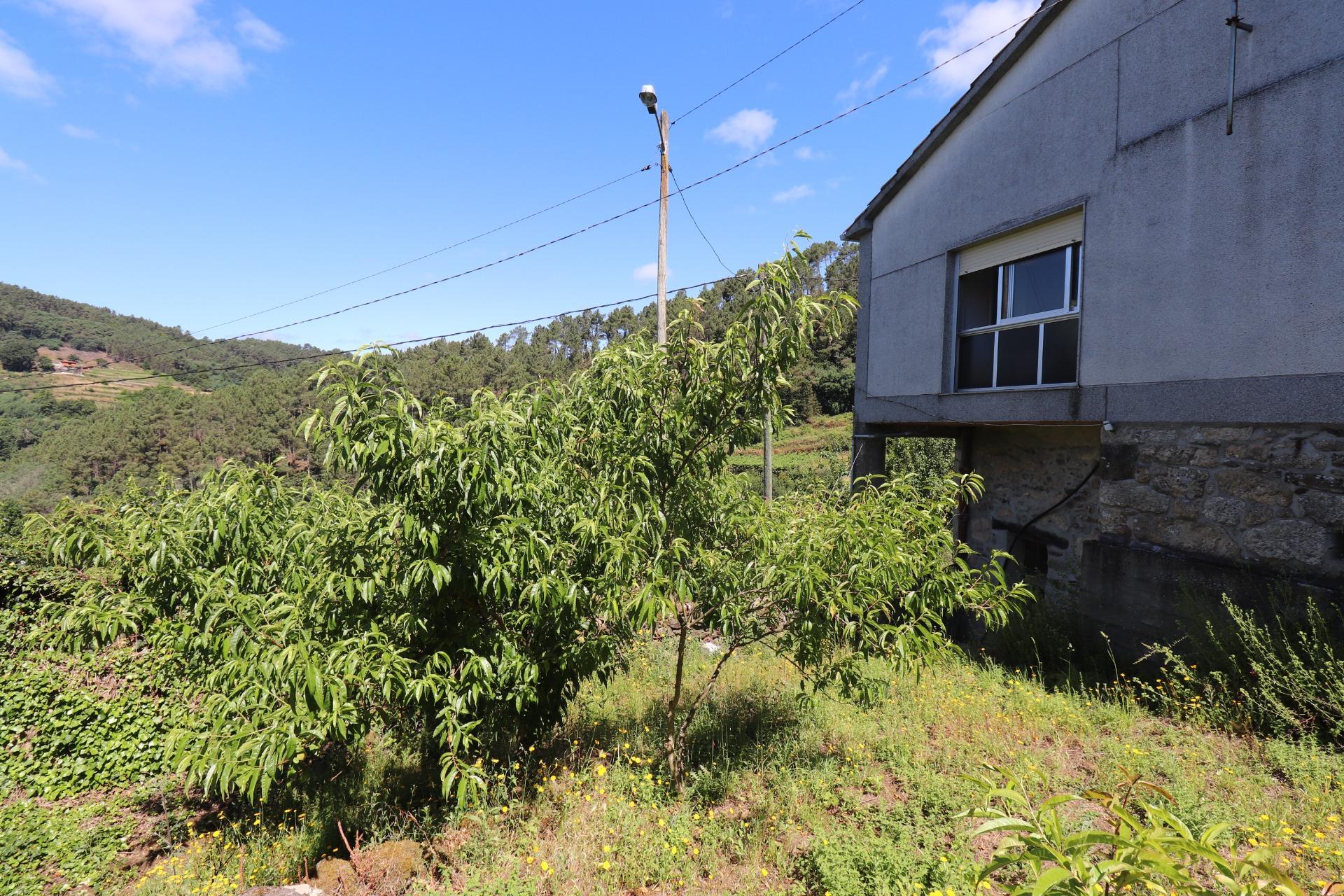 Pisos-Venta-A Peroxa-1349361-Foto-22