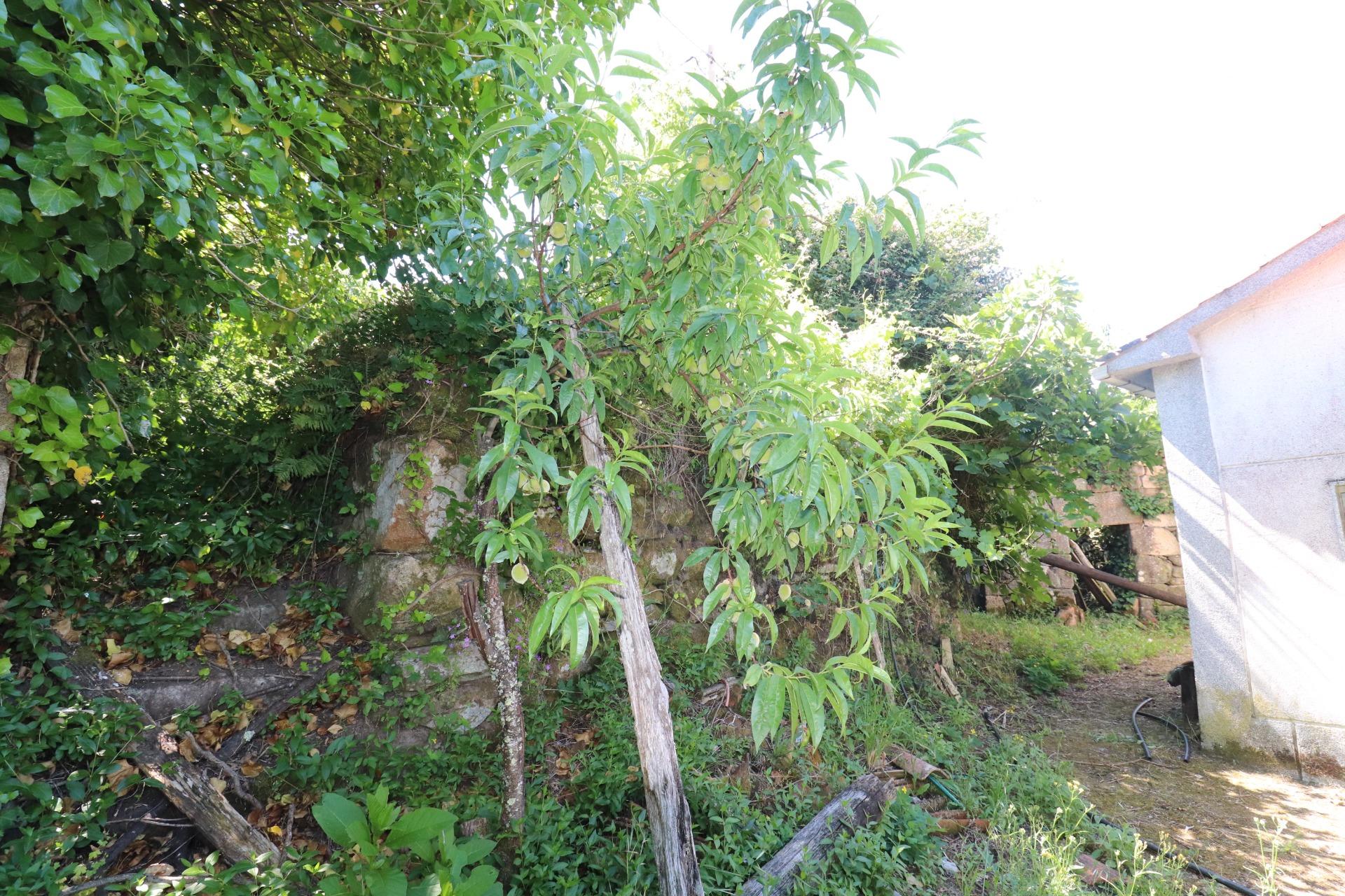 Pisos-Venta-A Peroxa-1349361-Foto-50